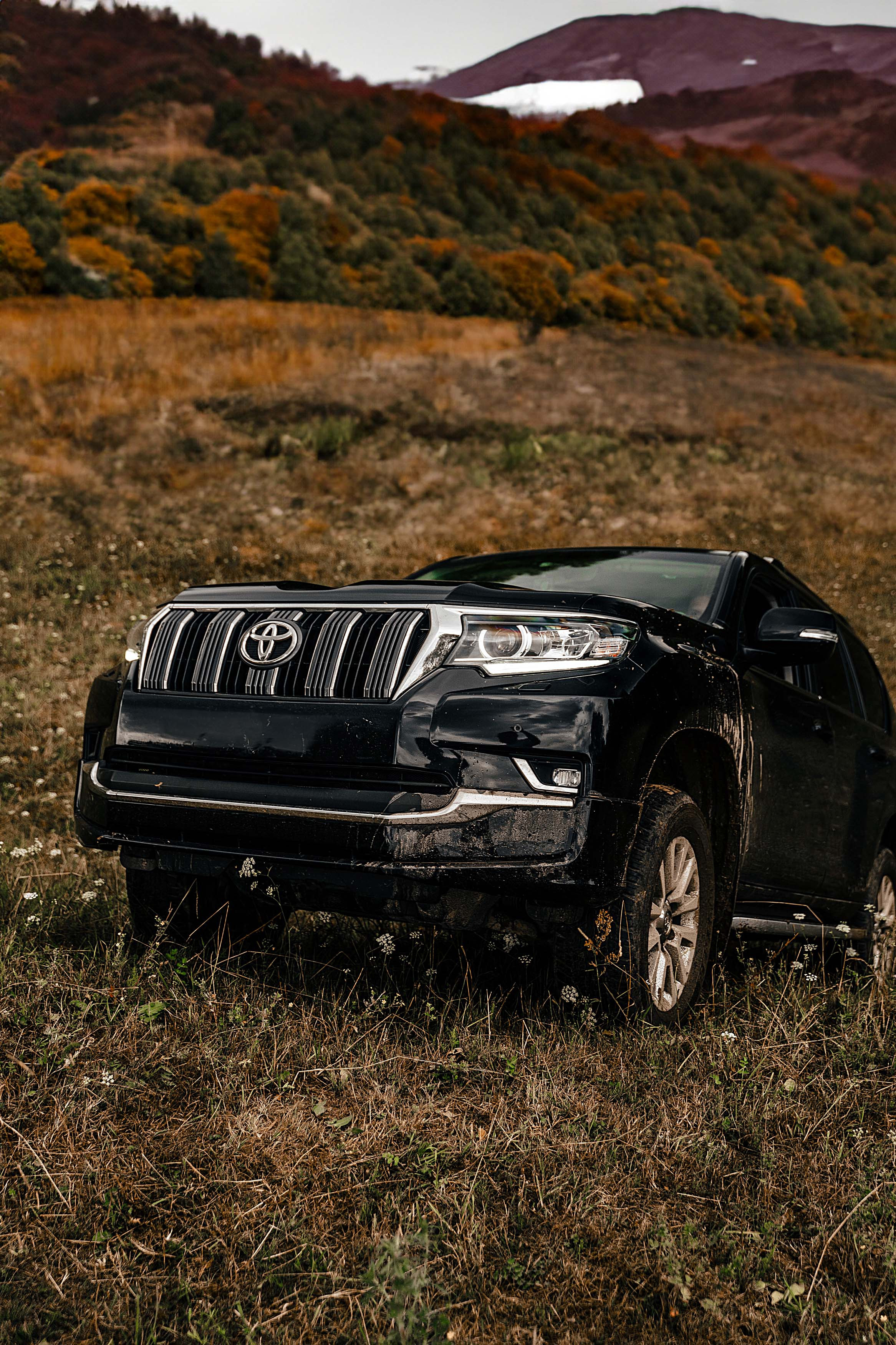 Land Cruiser Prado. Фотограф Казань