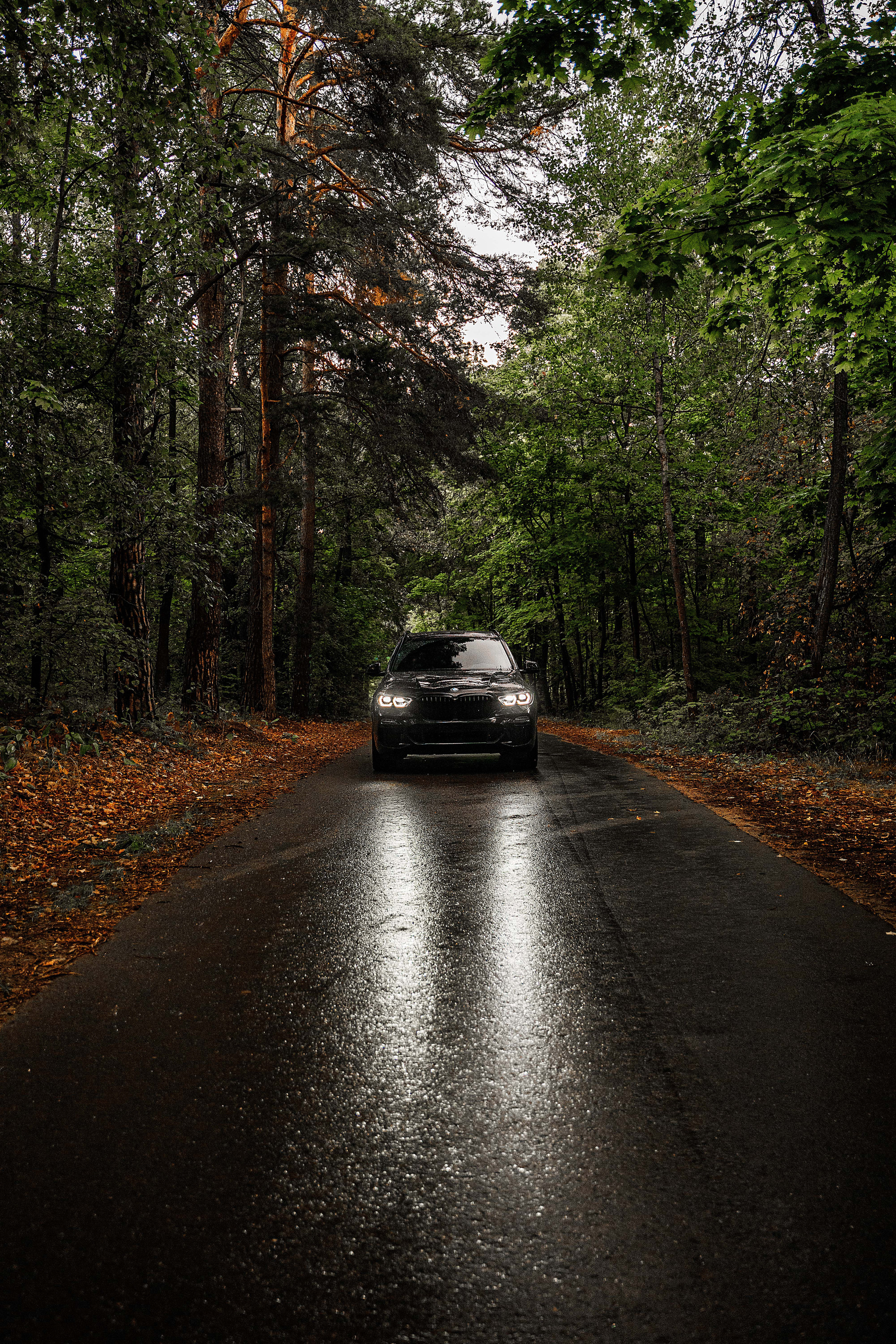 BMW X5. Фотограф Казань