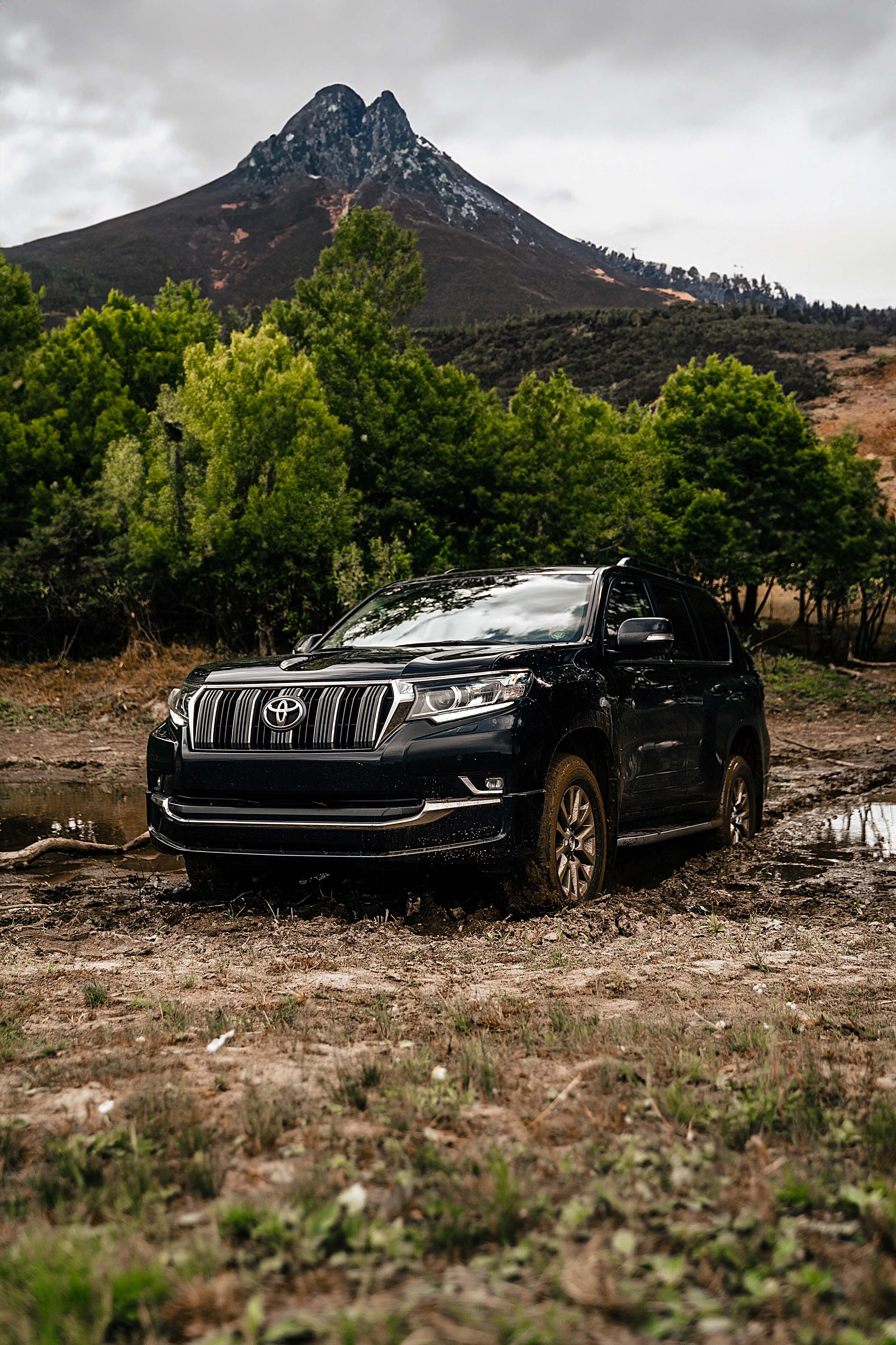 Land Cruiser Prado. Фотограф Казань