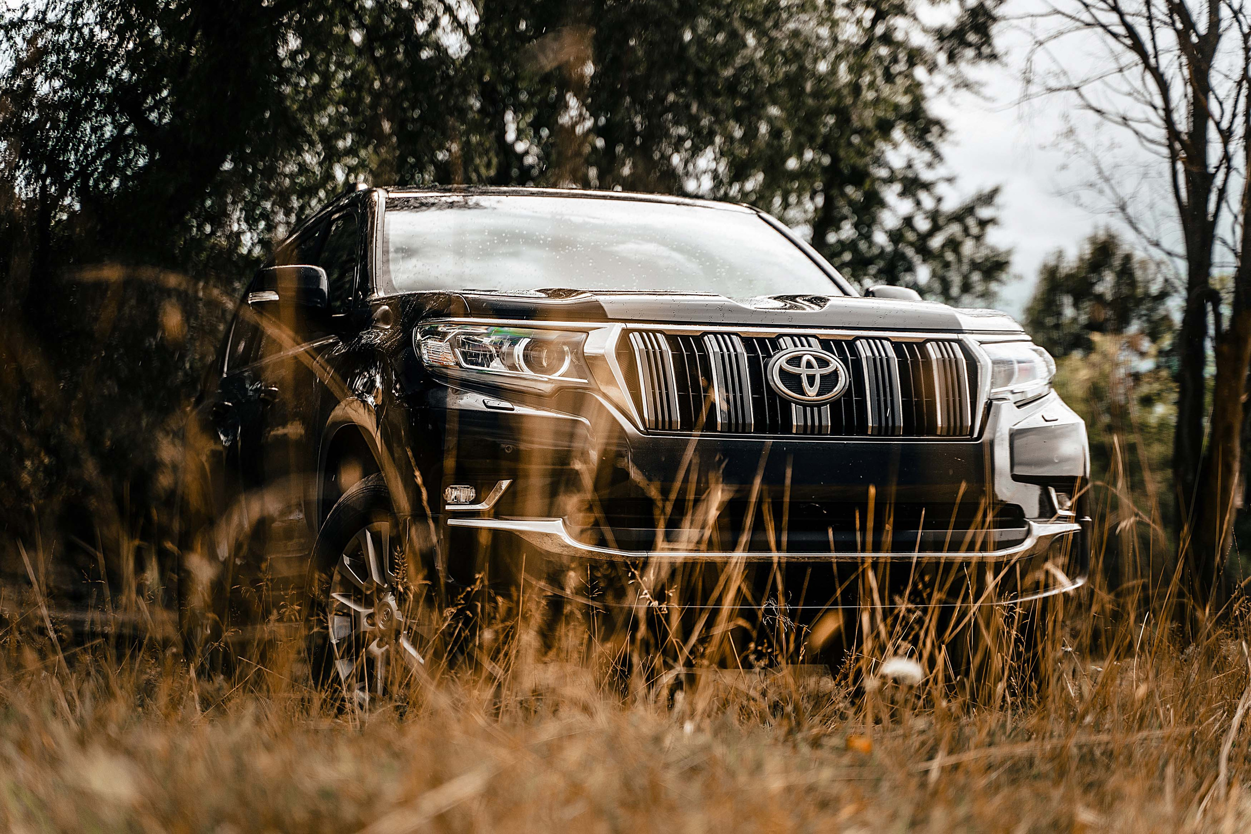 Land Cruiser Prado. Фотограф Казань