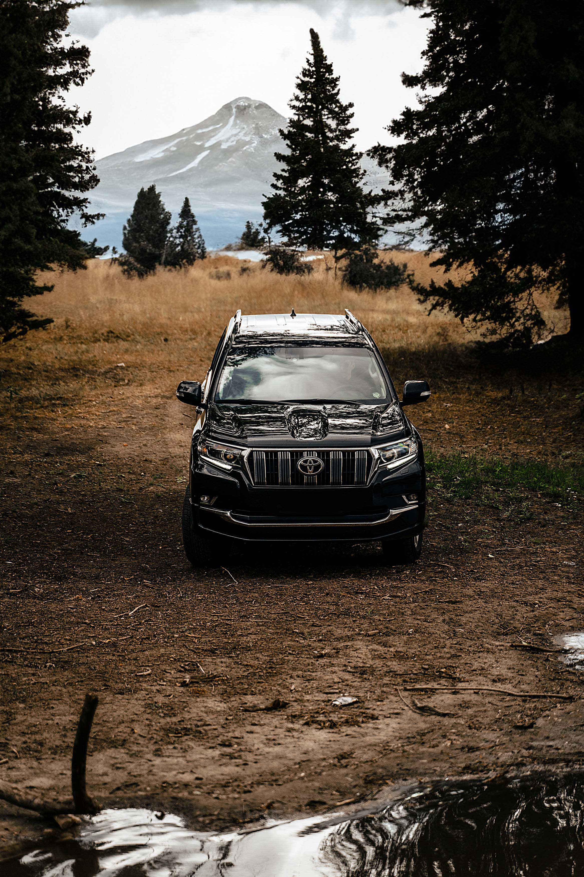 Land Cruiser Prado. Фотограф Казань