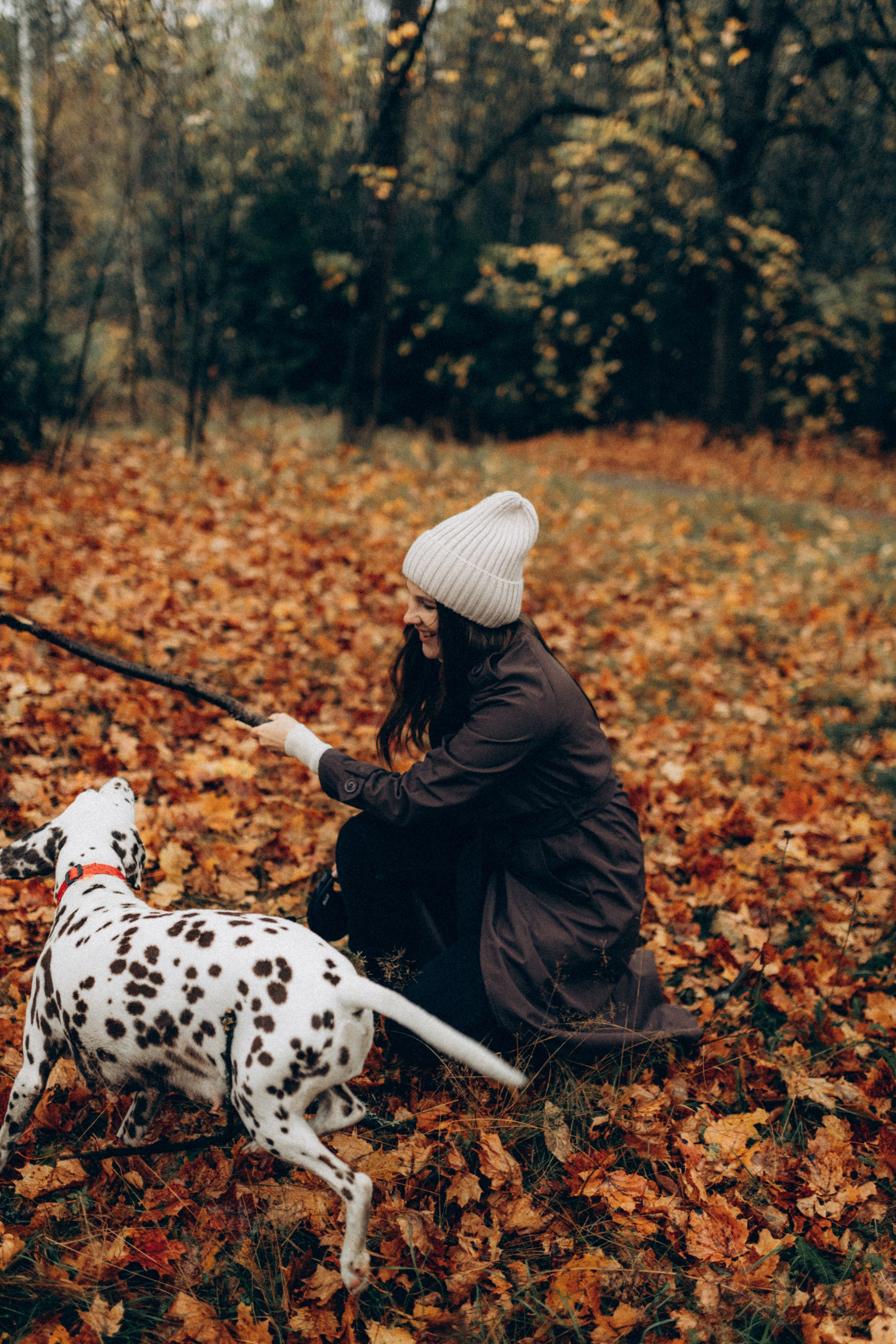 Анфиса & Нисма. Фотограф НОГИНСК, Москва, Анастасия Белая