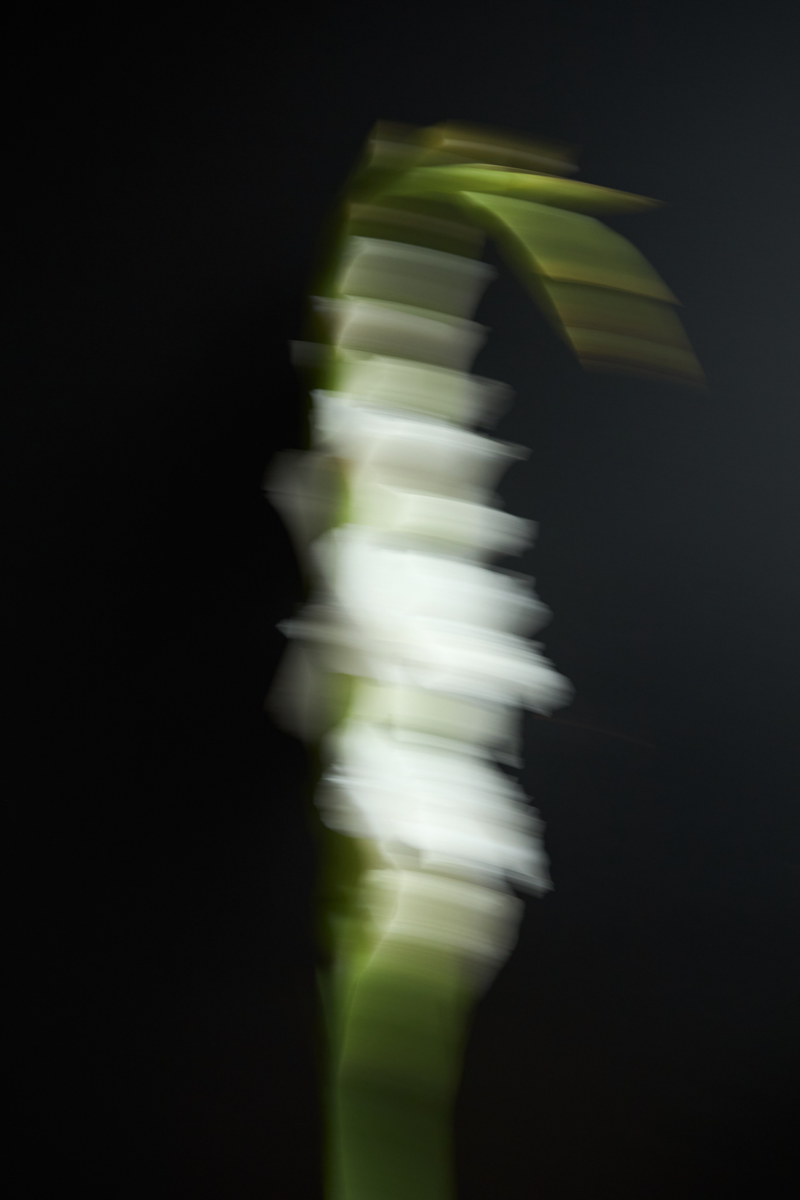 Esthetic. Фотограф Москва / TASIA_ZHUKOVA Photographer Moscow