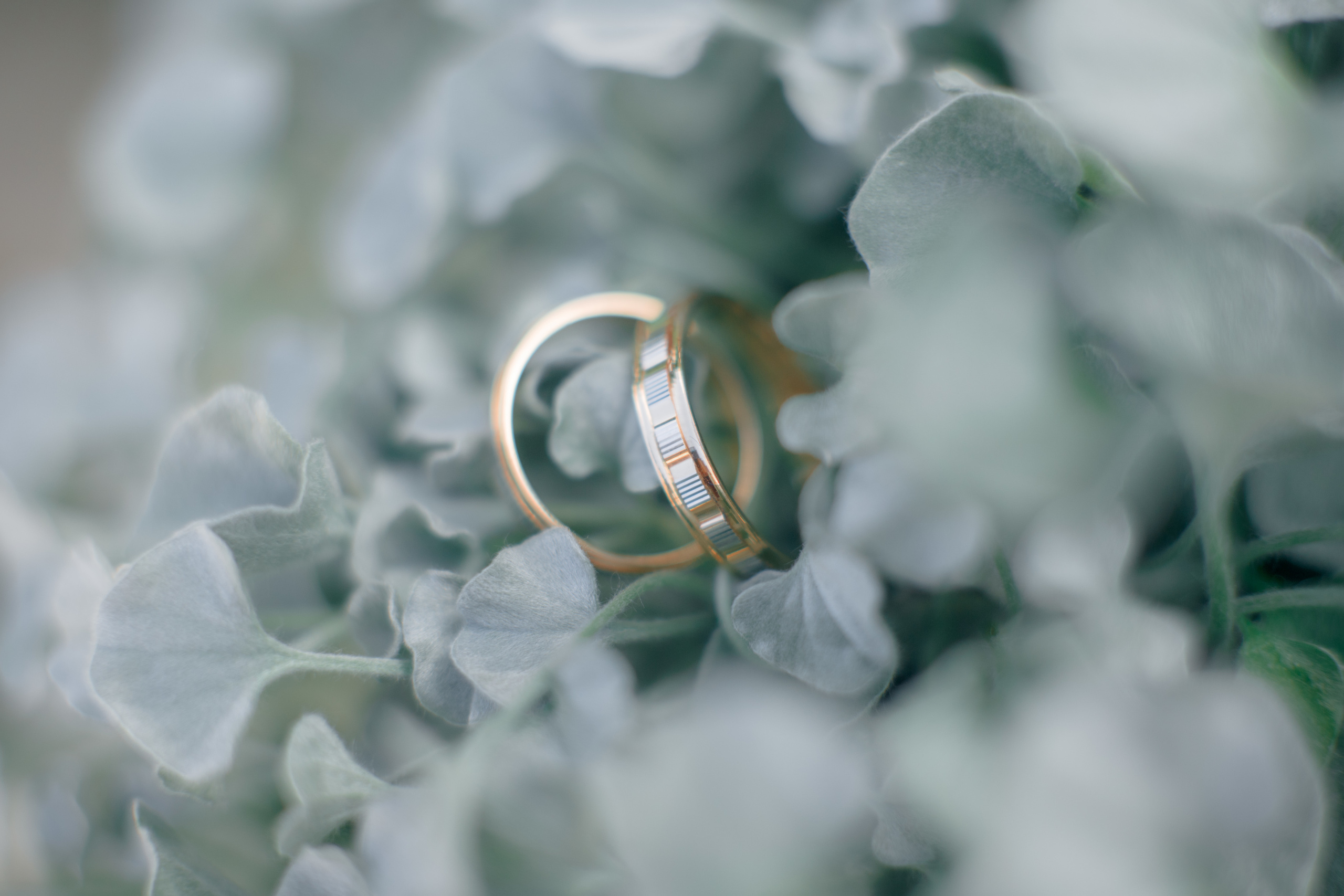 Денис и Настя. Свадебный и семейный фотограф в Краснодаре Марина Фалевич. Свадебная ф