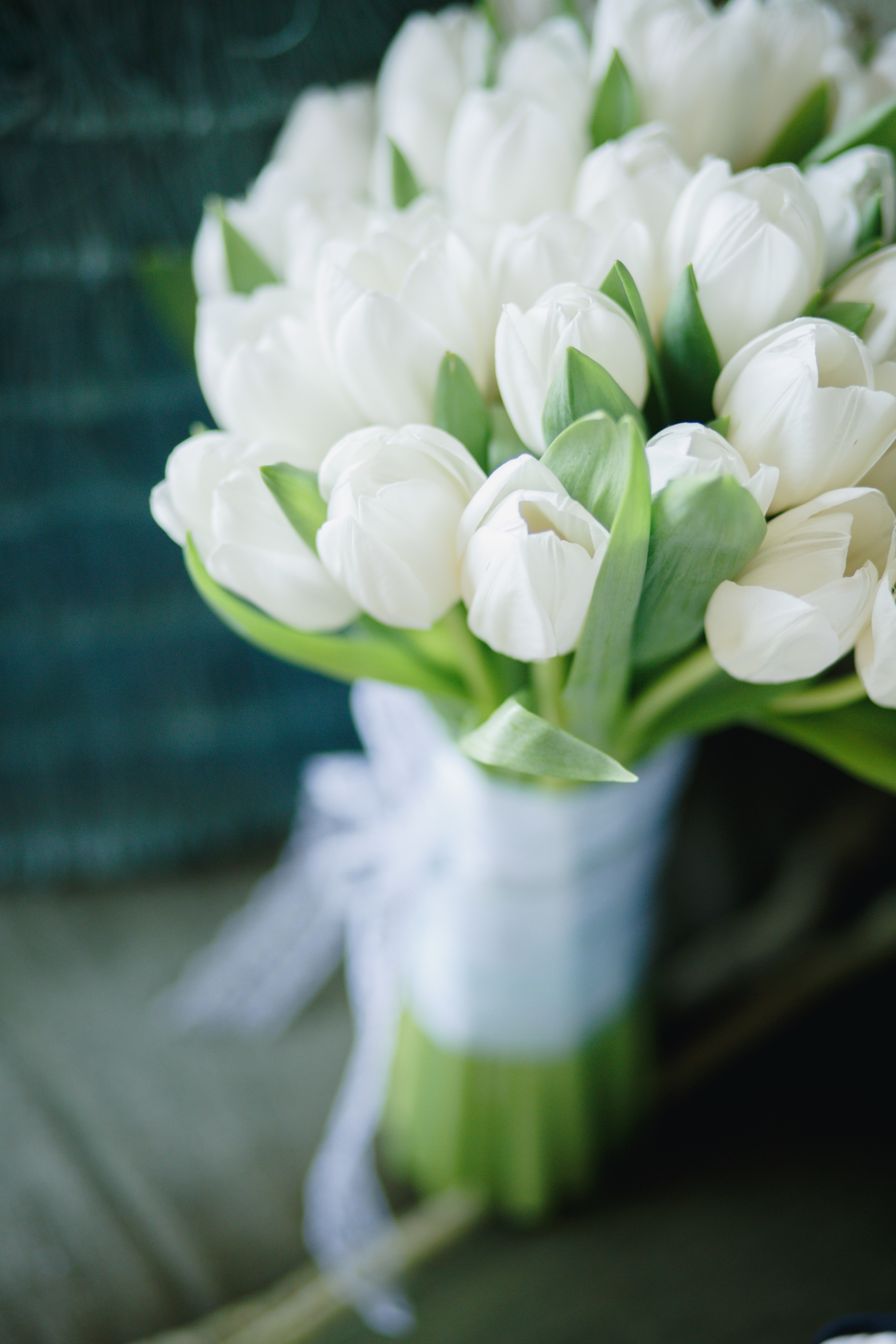 Сергей и Екатерина. Свадебный и семейный фотограф в Краснодаре Марина Фалевич. Свадебная ф