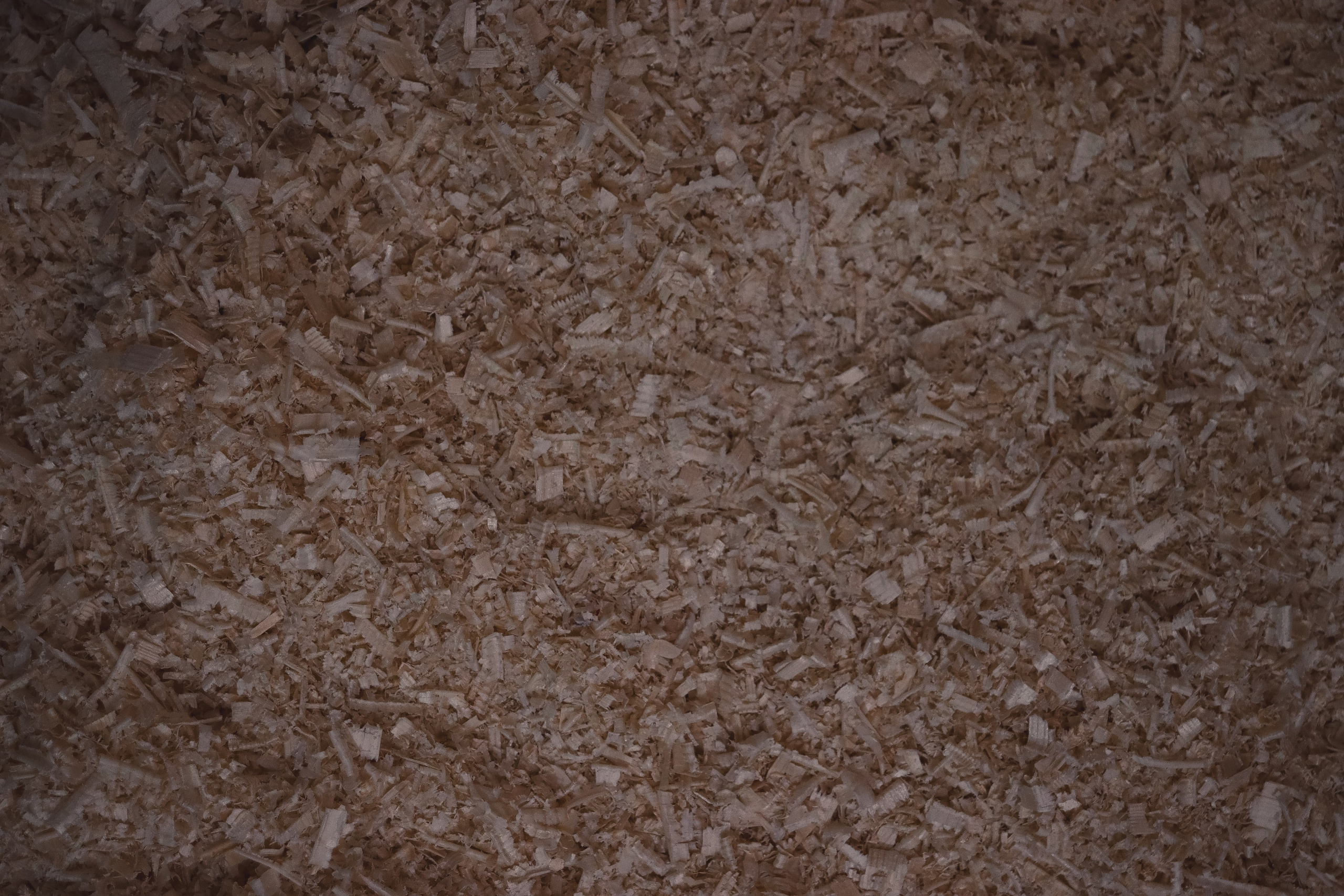 С Т О Л Я Р Н О Е — П Р О И З В О Д С Т В О. — Digital Noise —