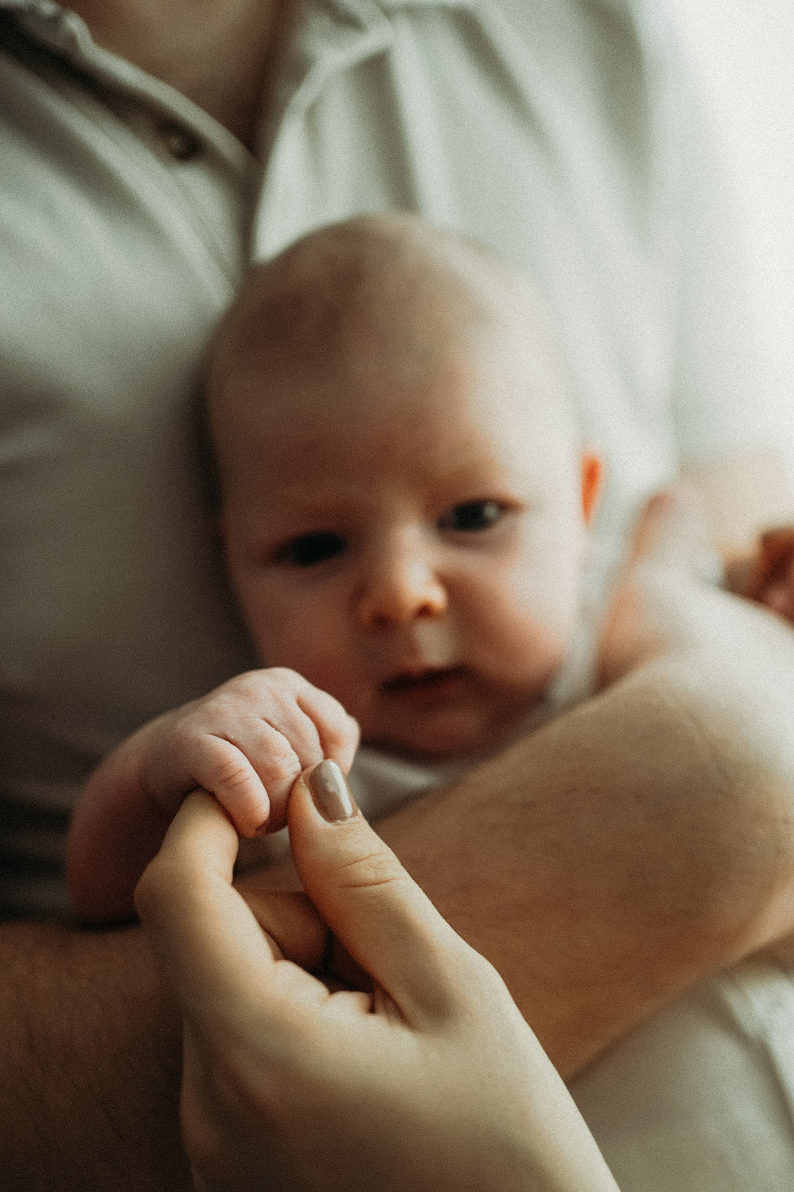Елена, Андрей и малыши. Фотограф Наталья Колганова