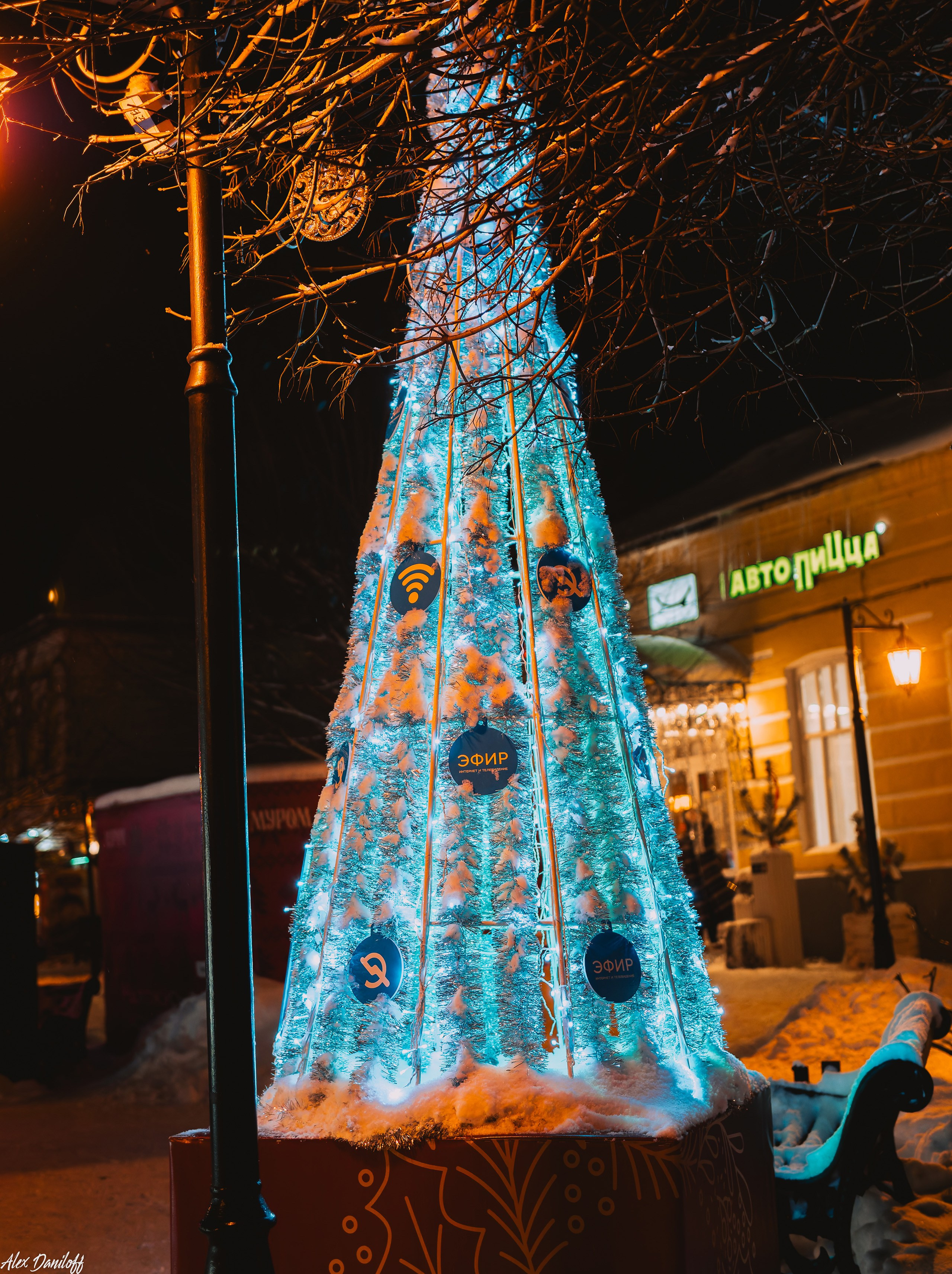 Елки 2025. Муром-Инфо. Новости культуры, образования, спорта в городе Муром