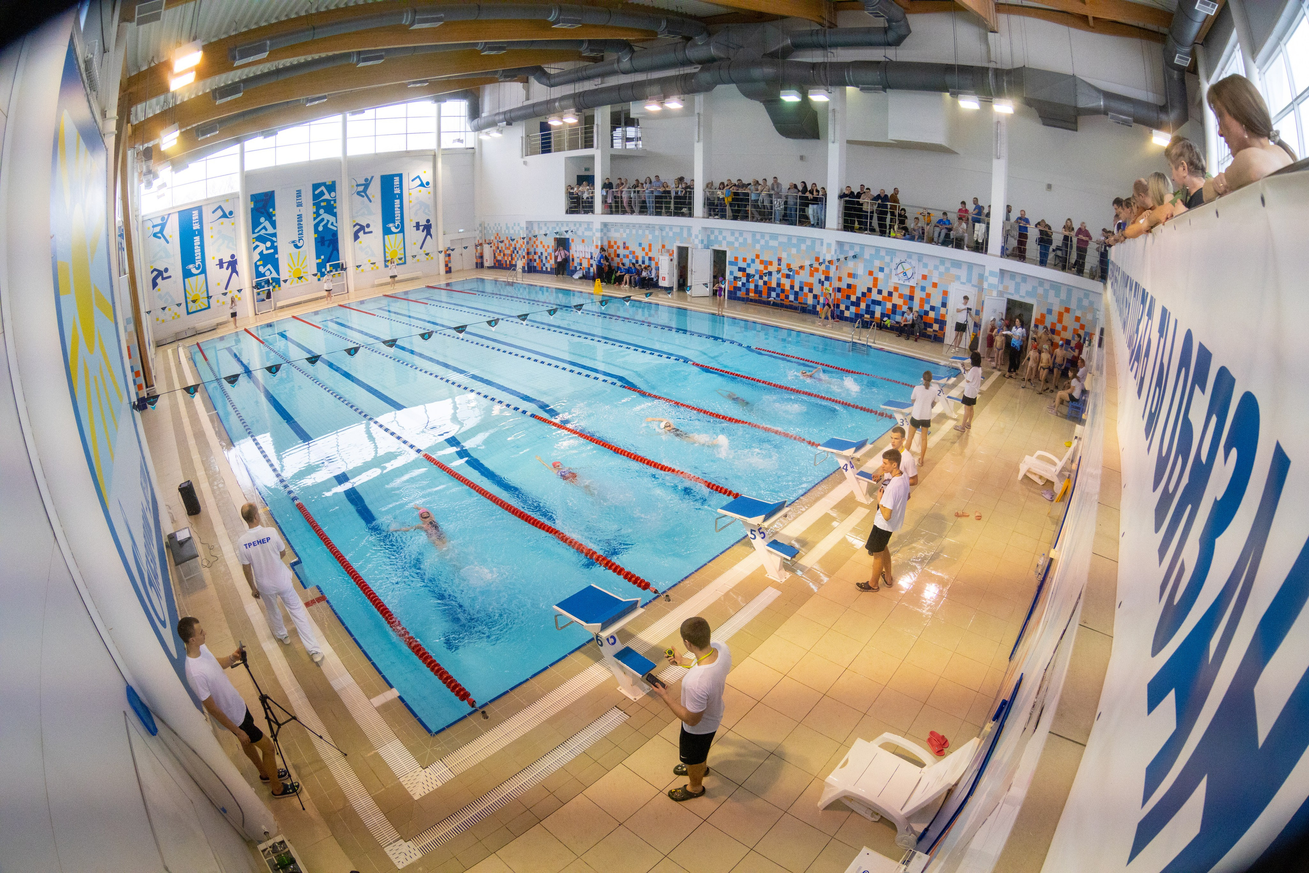 Плавание в ластах (разные годы, более 10 репортажей выборка пополняемая). Фотограф в Туле Крупский АнДРей. Фотостудия «КАДР71» в Туле