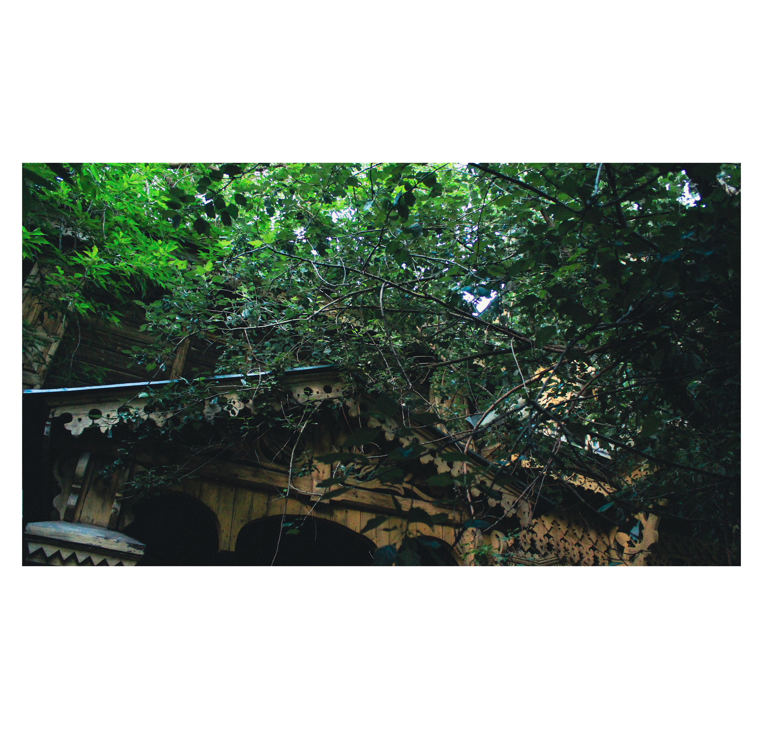 Summertime. Фотограф/дизайнер в Екатеринбурге Хитрый Дмитрий