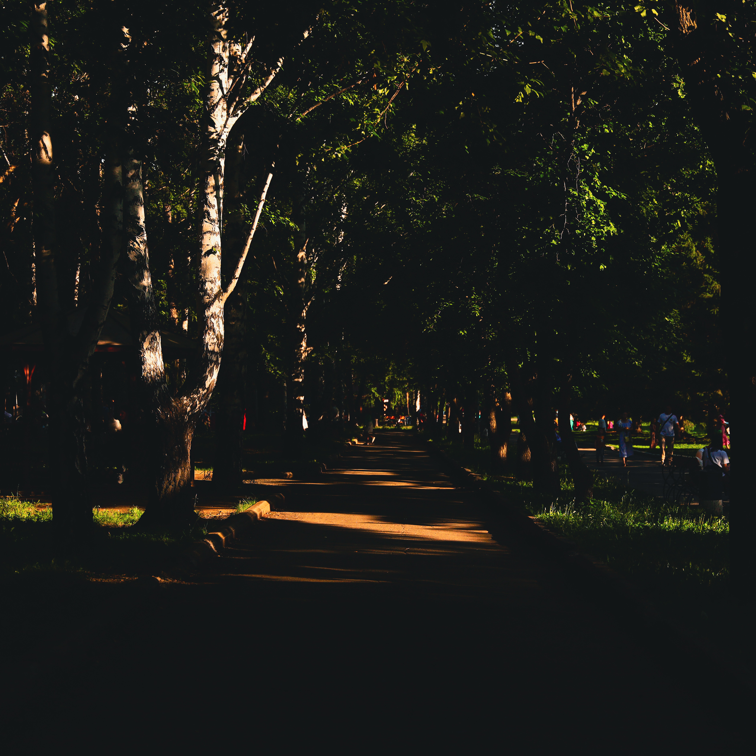 Summertime. Фотограф/дизайнер в Екатеринбурге Хитрый Дмитрий