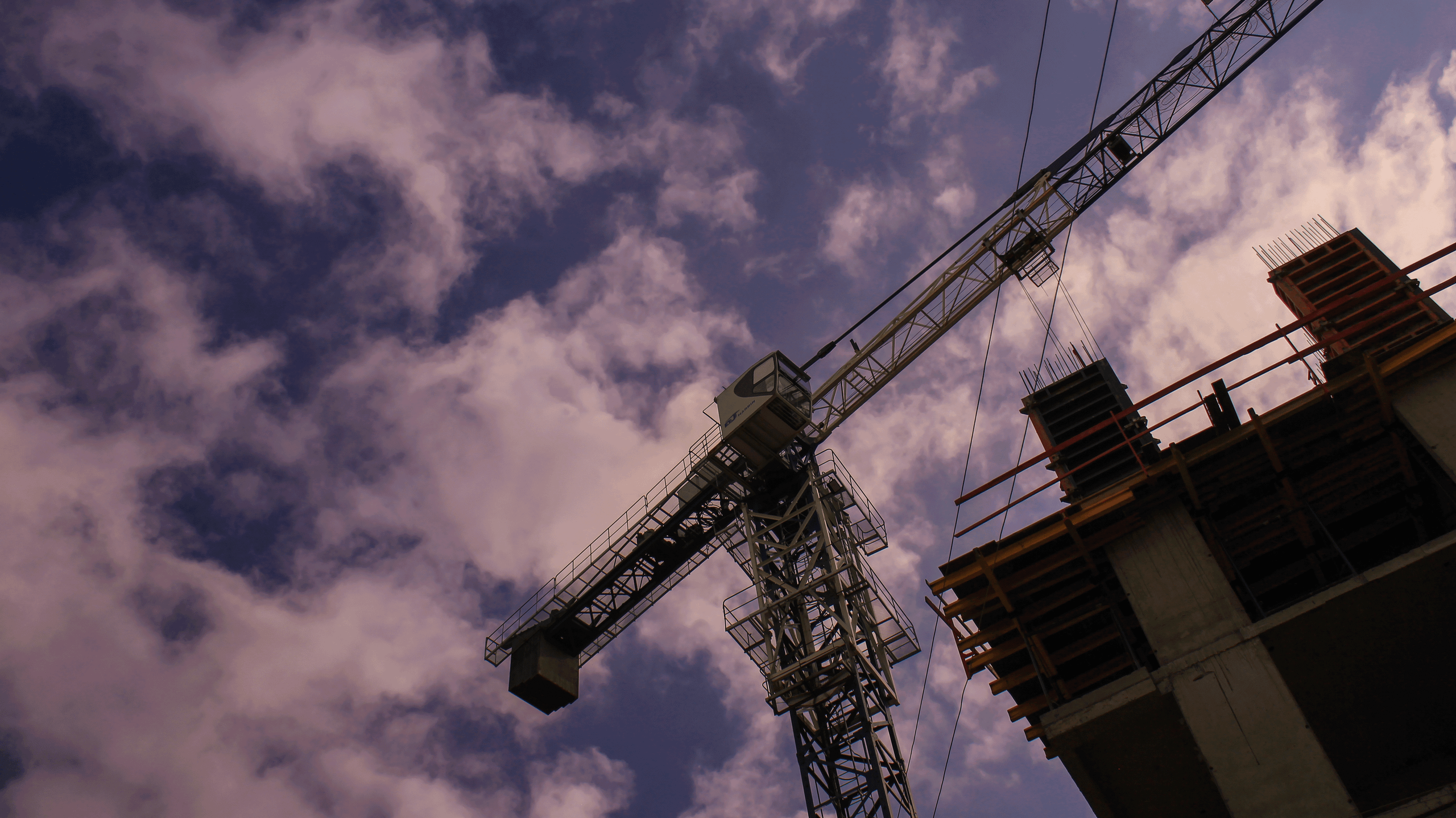 TMN summer '24. Фотограф/дизайнер в Екатеринбурге Хитрый Дмитрий