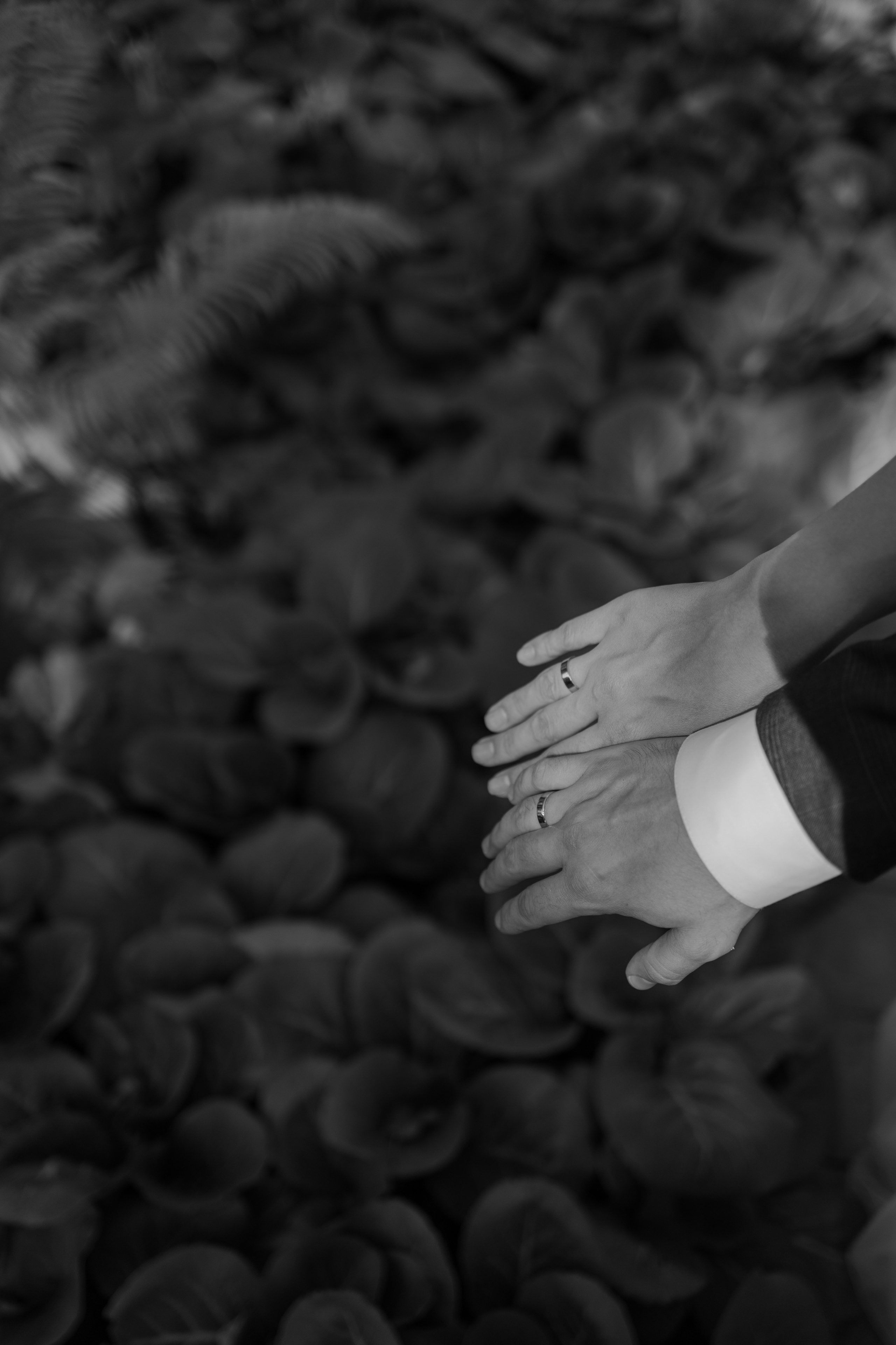 Екатерина и Данила. Свадебный фотограф в Самаре Виденмаер Евгения