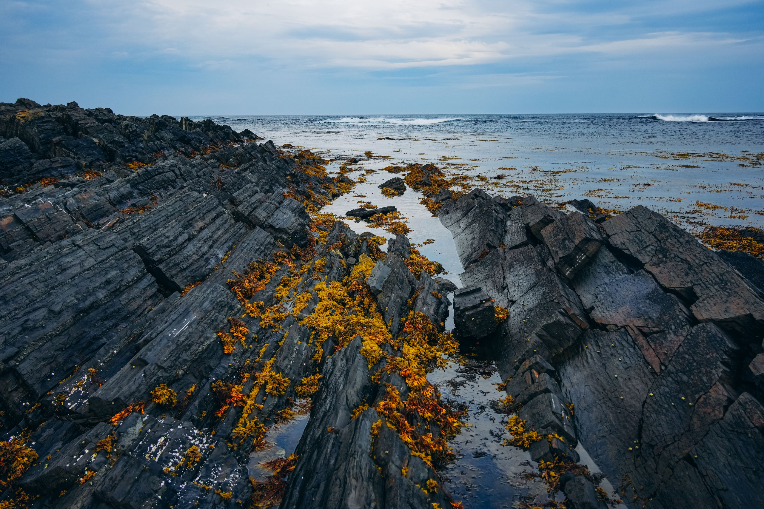 СЕВЕР. Event фотограф Степанова Александра