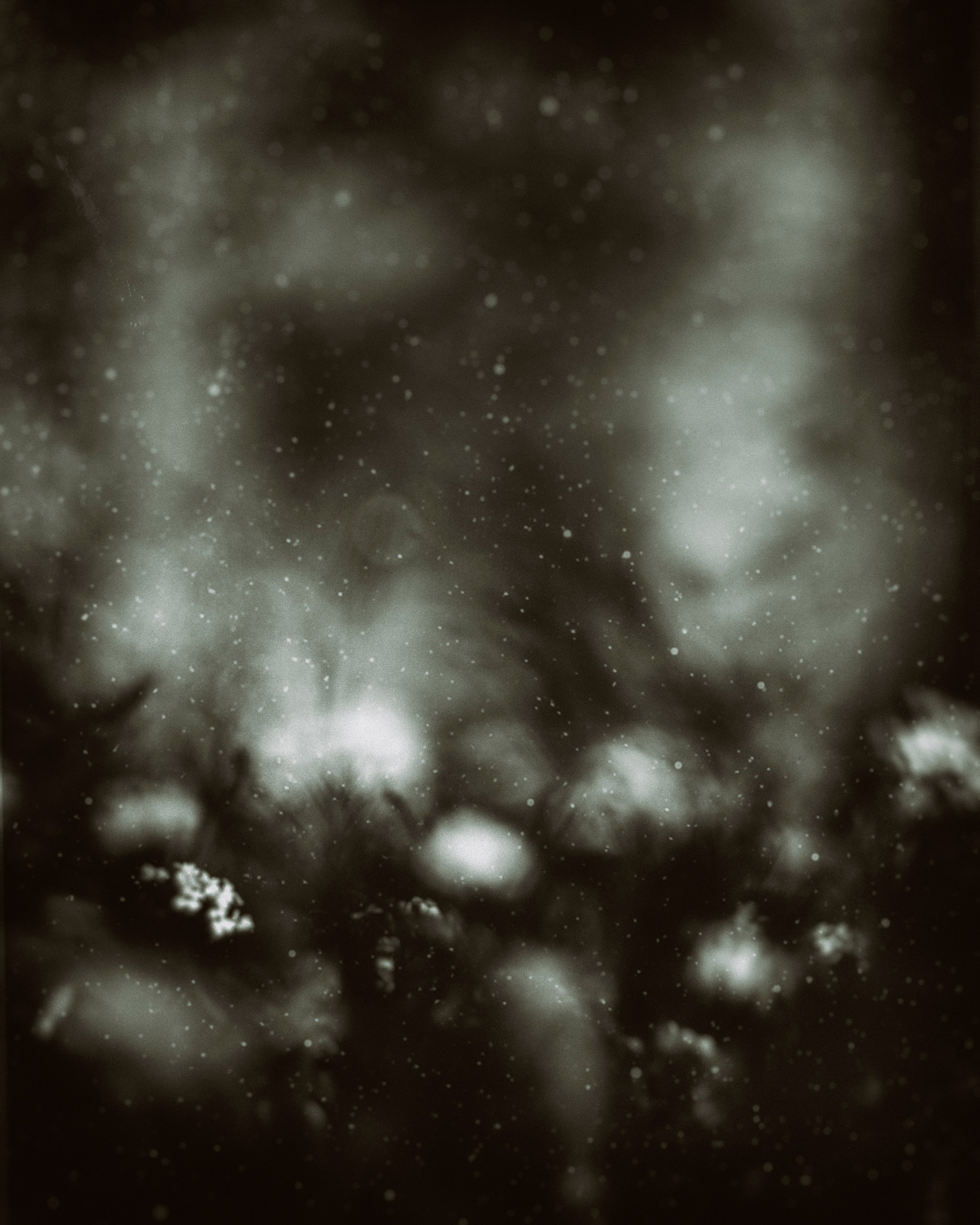 Flowers. Visual artist