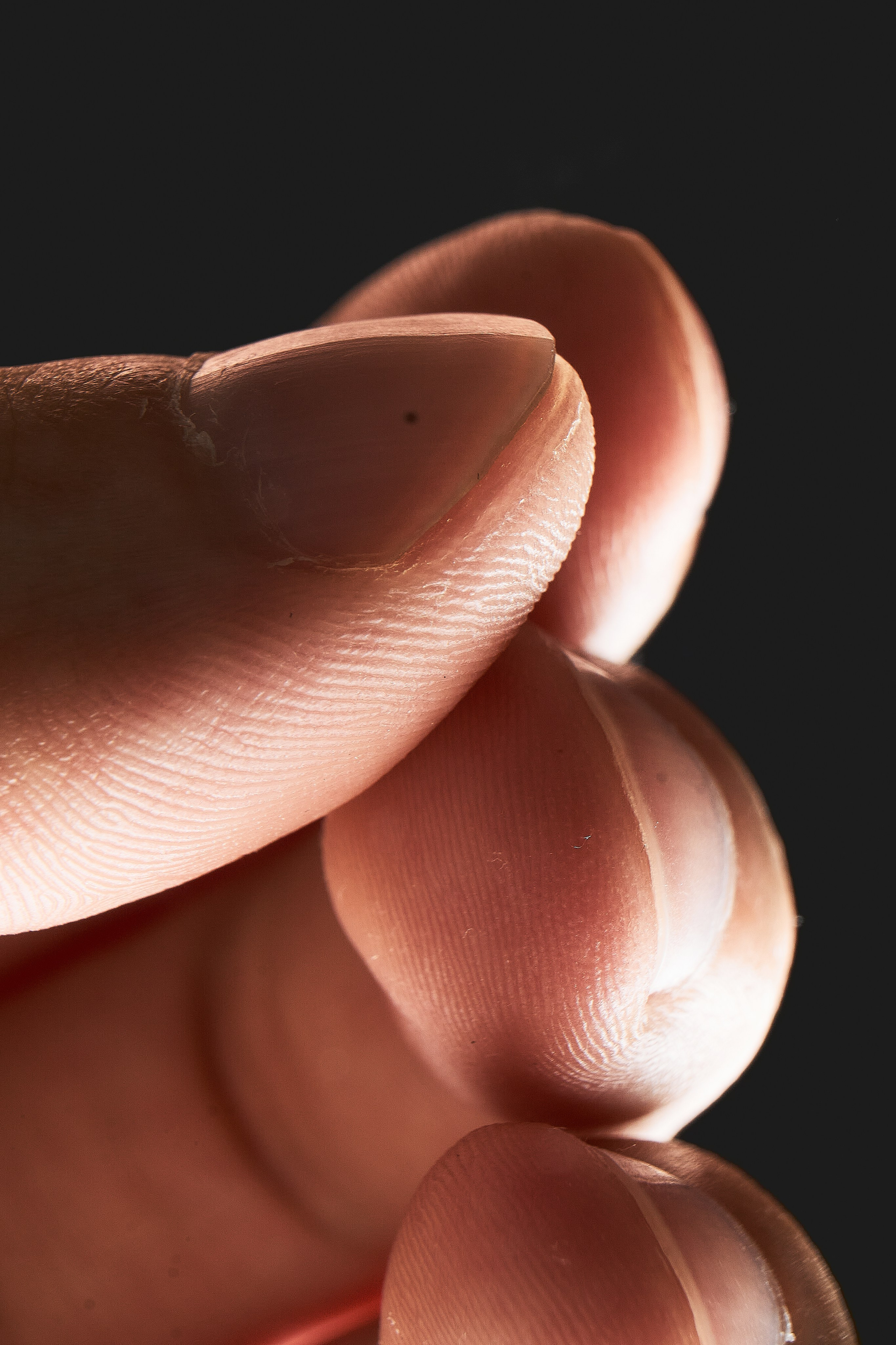 MACRO | skin textures. Фотограф Валерий Федяев | vallerzu