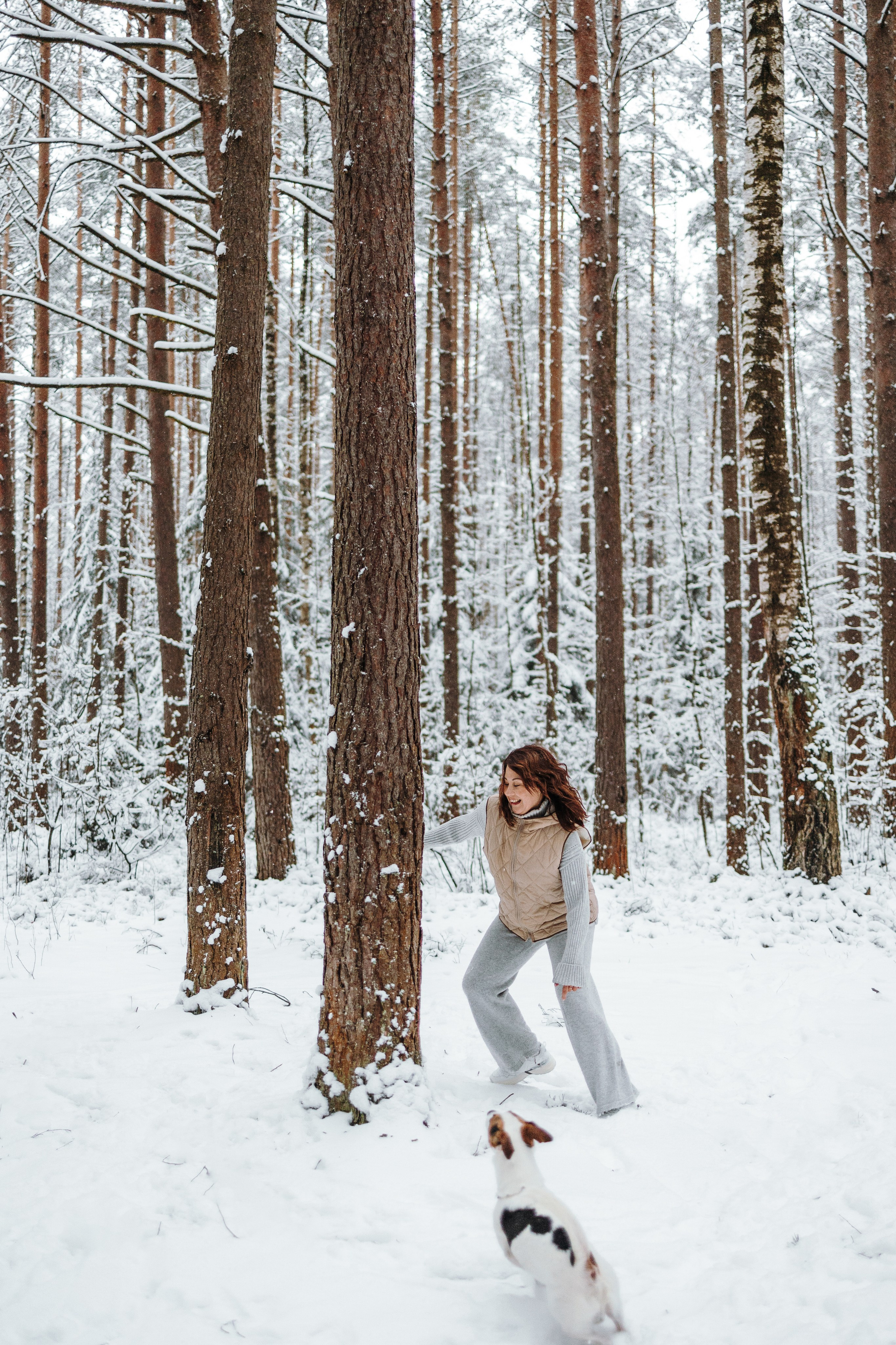 Мики и его семья. Фотограф — Анималист | Санкт-Петербург