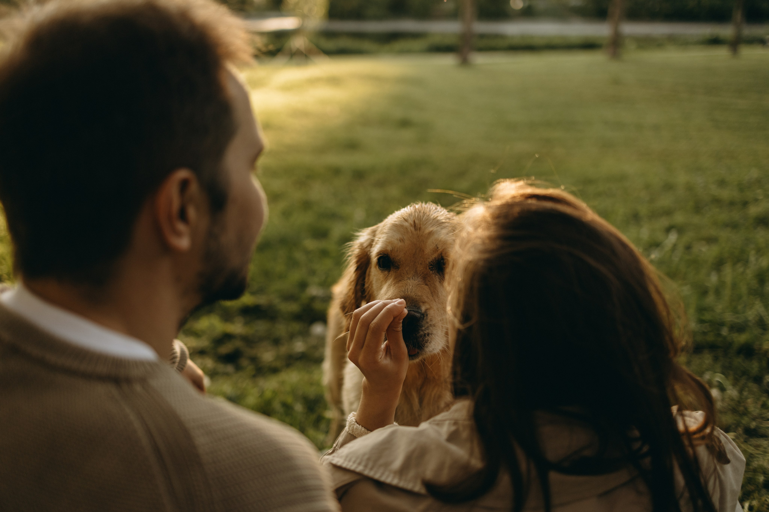 Пенни и ребята. Фотограф — Анималист | Санкт-Петербург