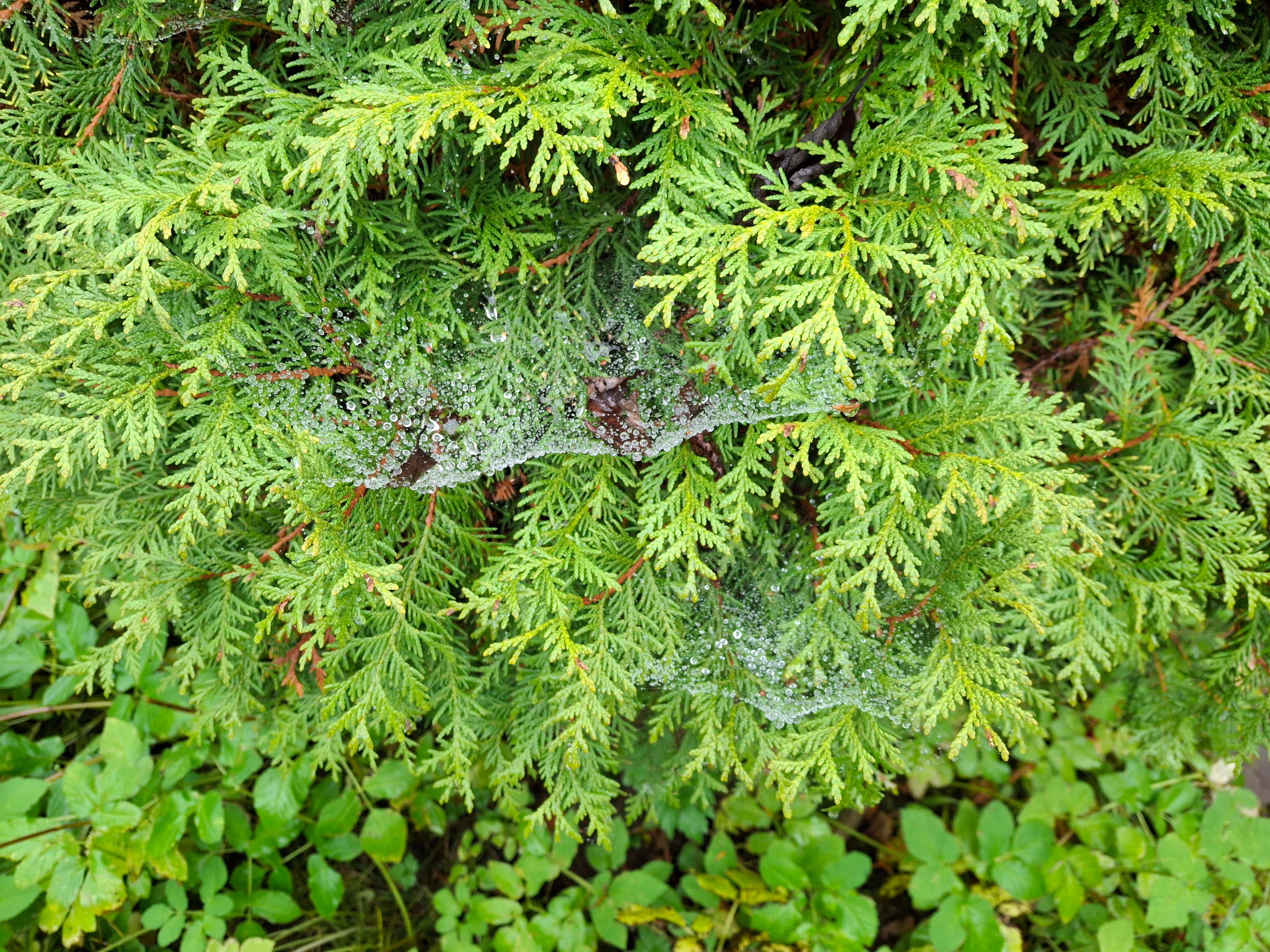 Последняя поездка. Игорь Жучков. Россия увиденная глазами путешествующего фотографа