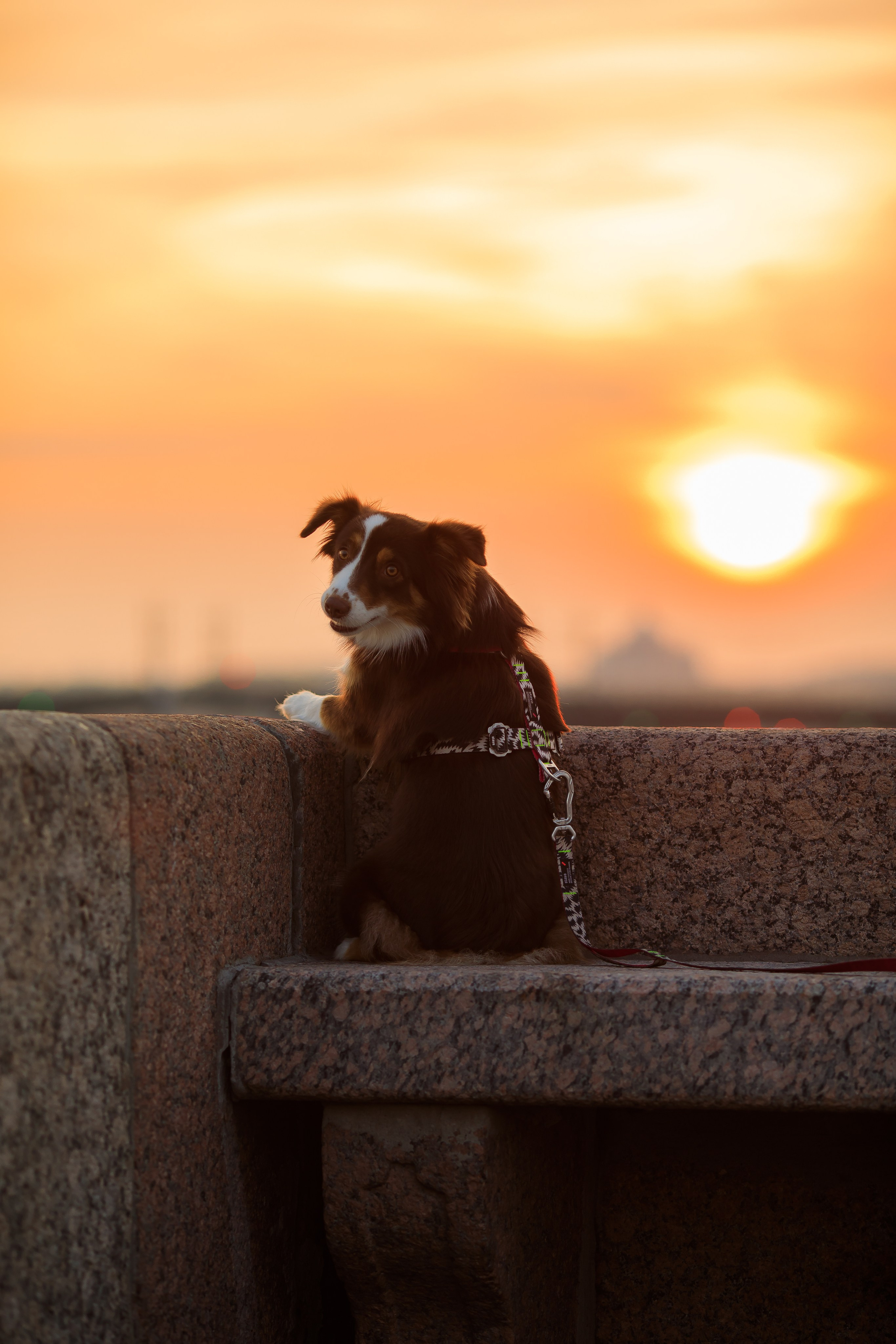 Семейная съемка. Не просто красивые фотографии, а ваши лучшие кадры!