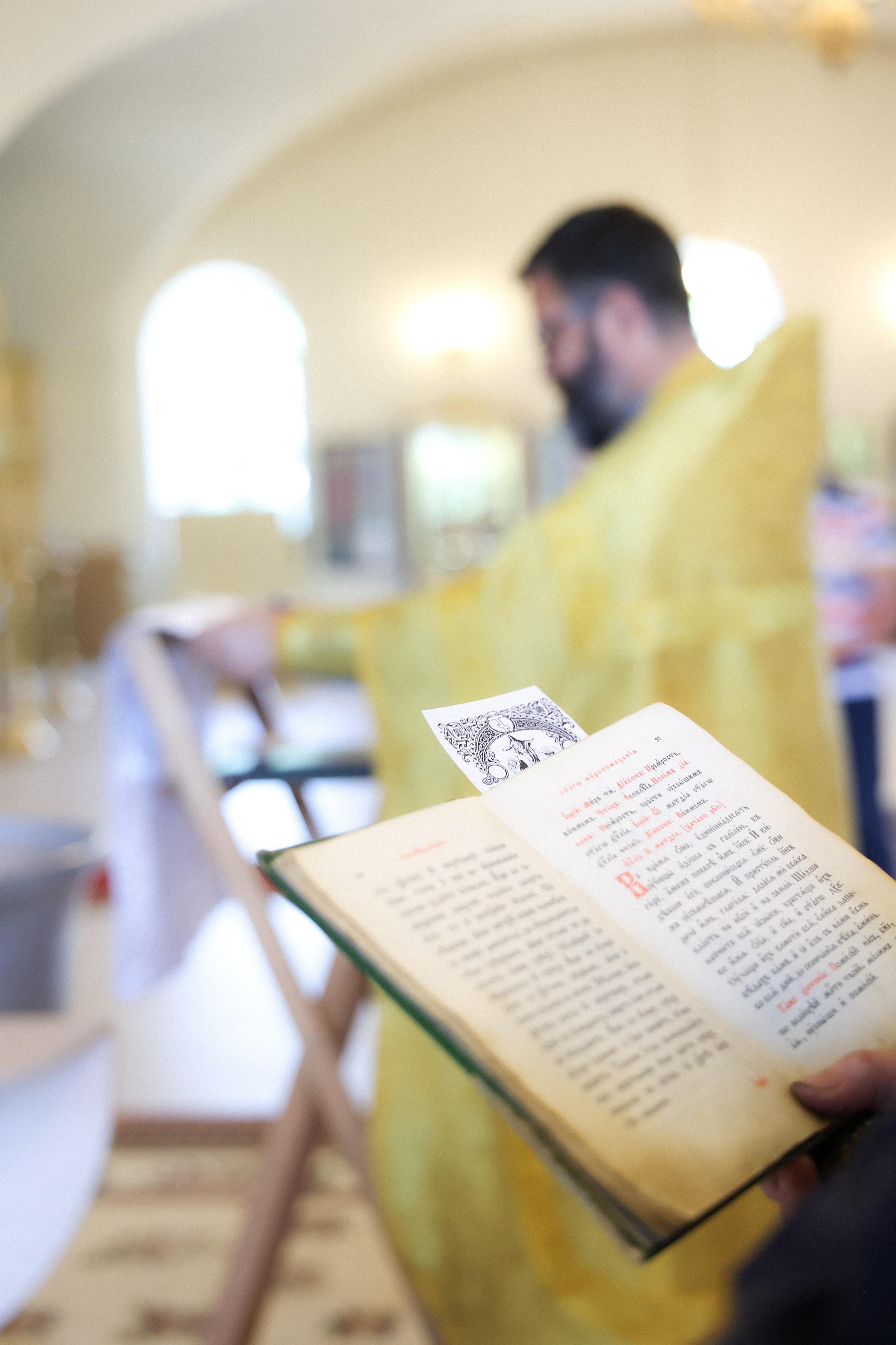 Милания. Фотограф НатаФото (Наталья Яковенко) Дмитров Москва Питер