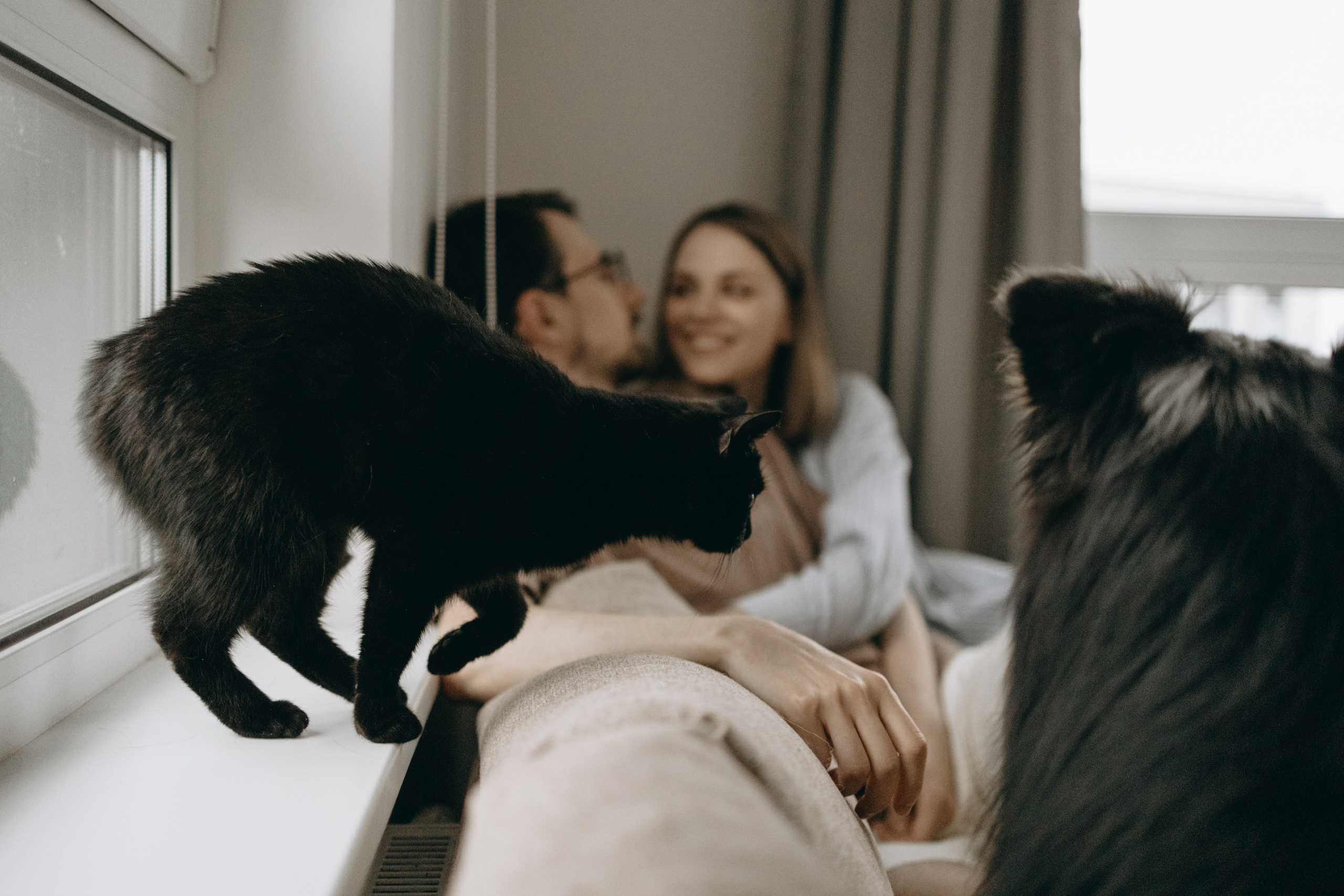 Настя, Никита и их Гром и Мяу. Фотограф — Анималист | Санкт-Петербург