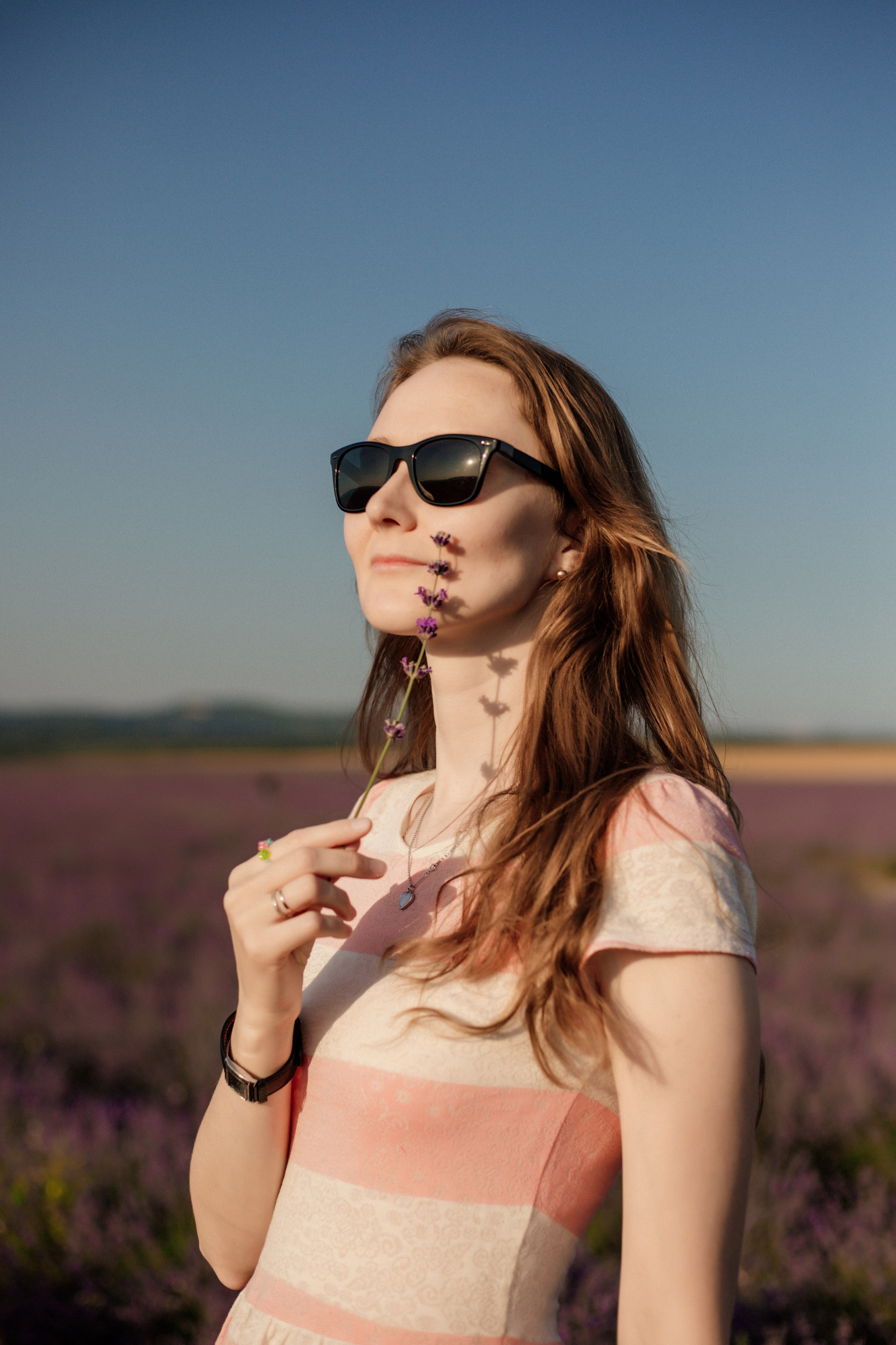 Лаванда. Фотограф и Видеограф Севастополь Крым