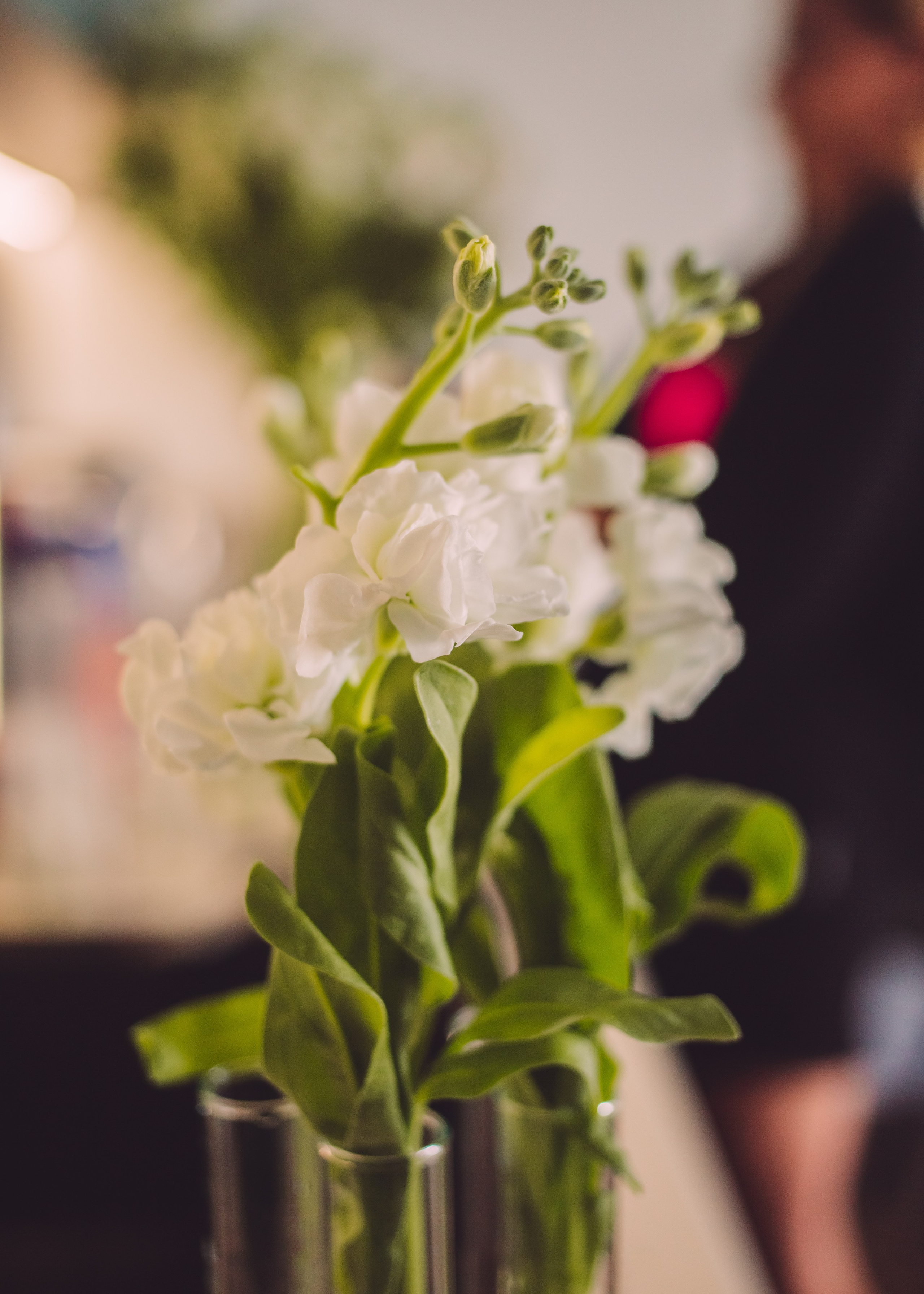 Артем и Ника. Фотограф Зеленоград, Москва