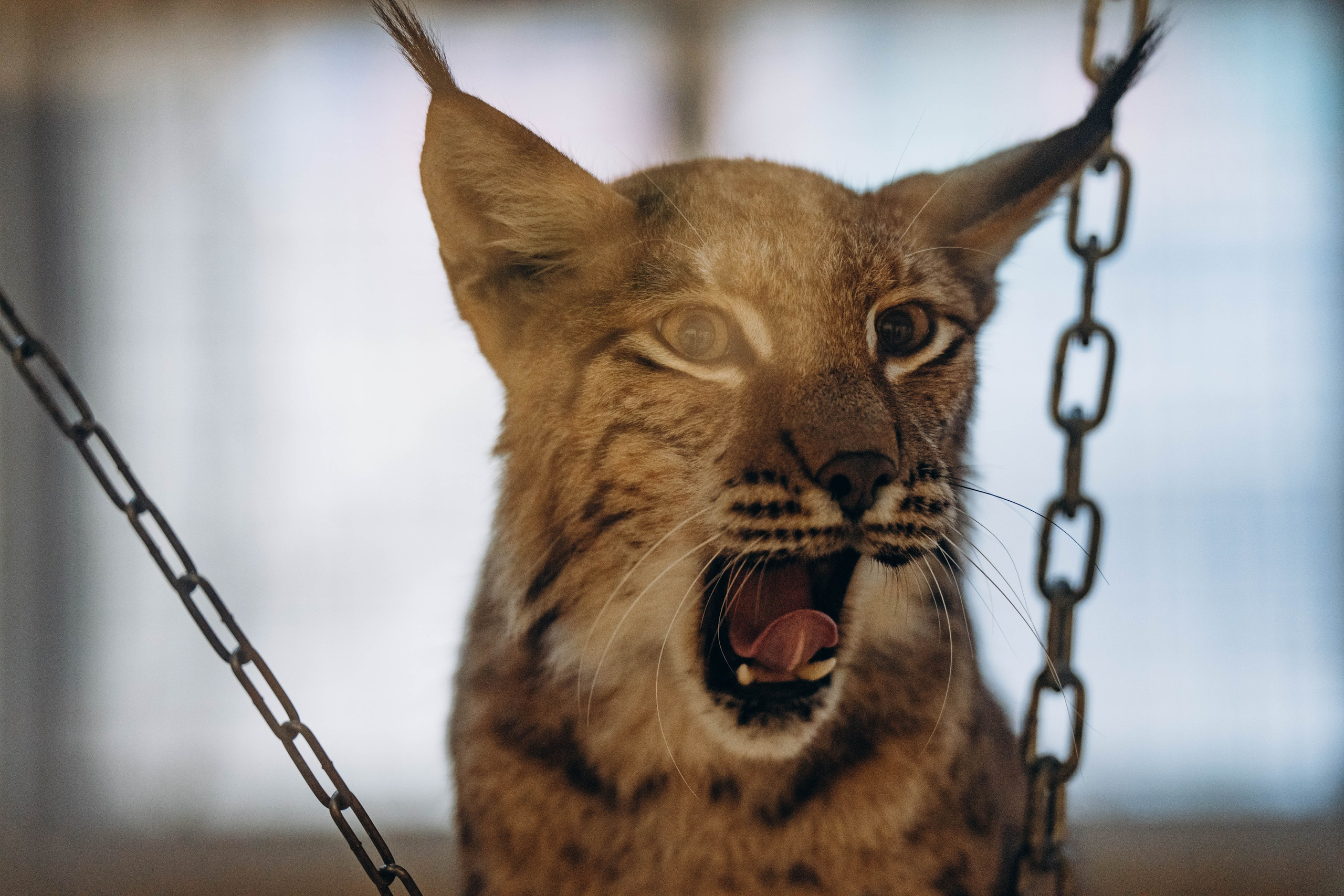 СЕВЕР. Event фотограф Степанова Александра