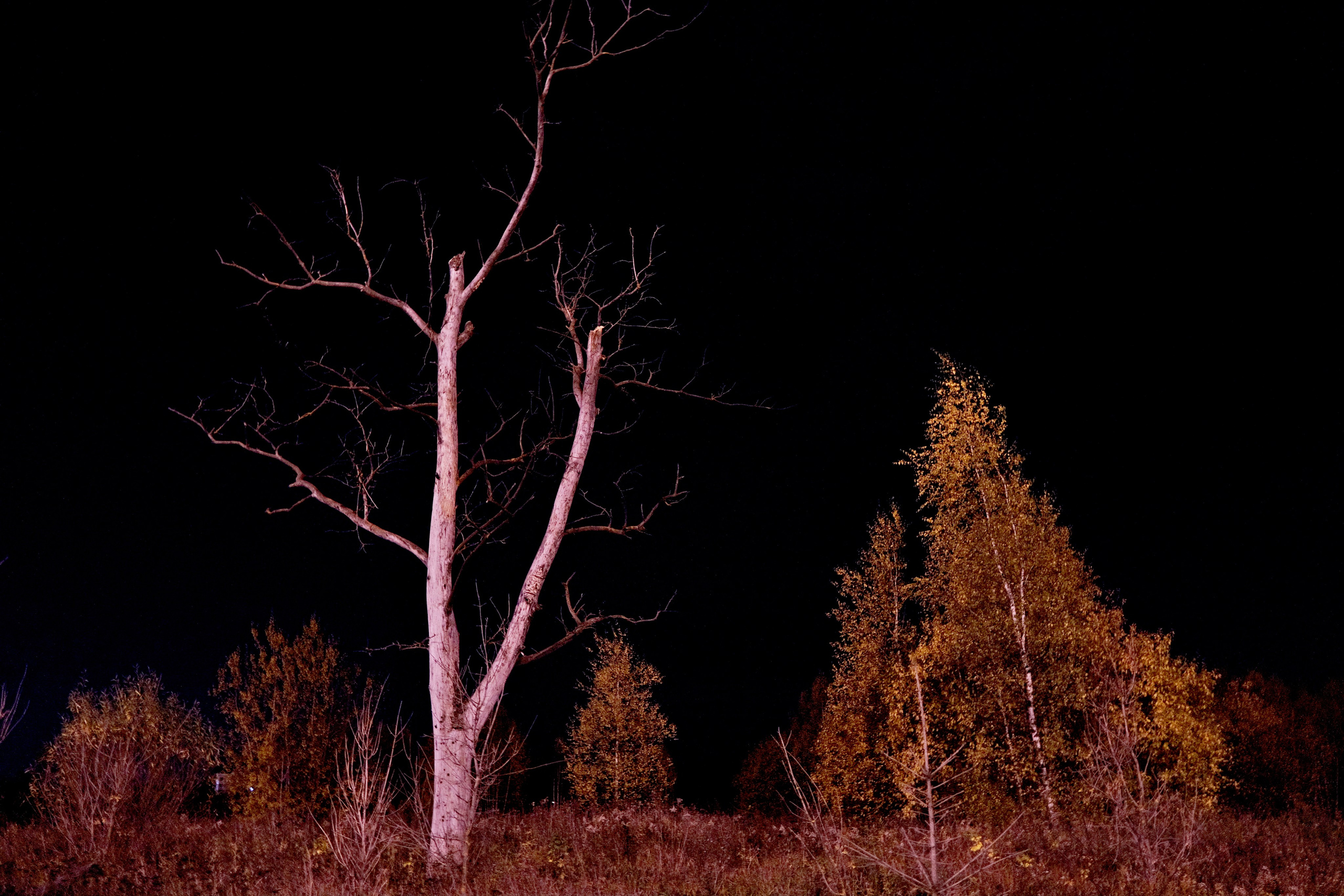 Фотоальбом с разными съёмками