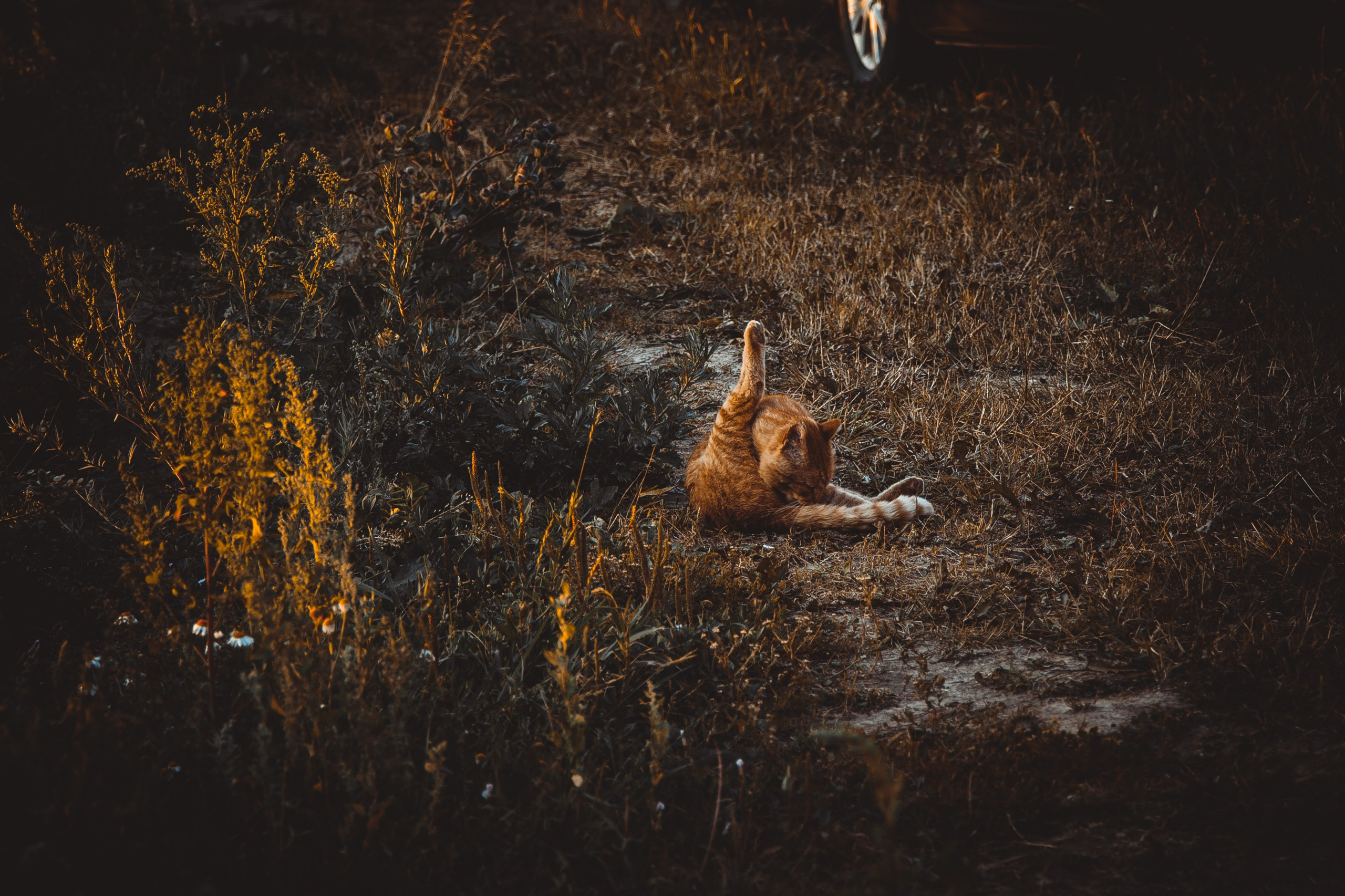 Разное из Разного времени. Ню Фотограф Александр Касымов Москва, фотосессии, Химки фотограф