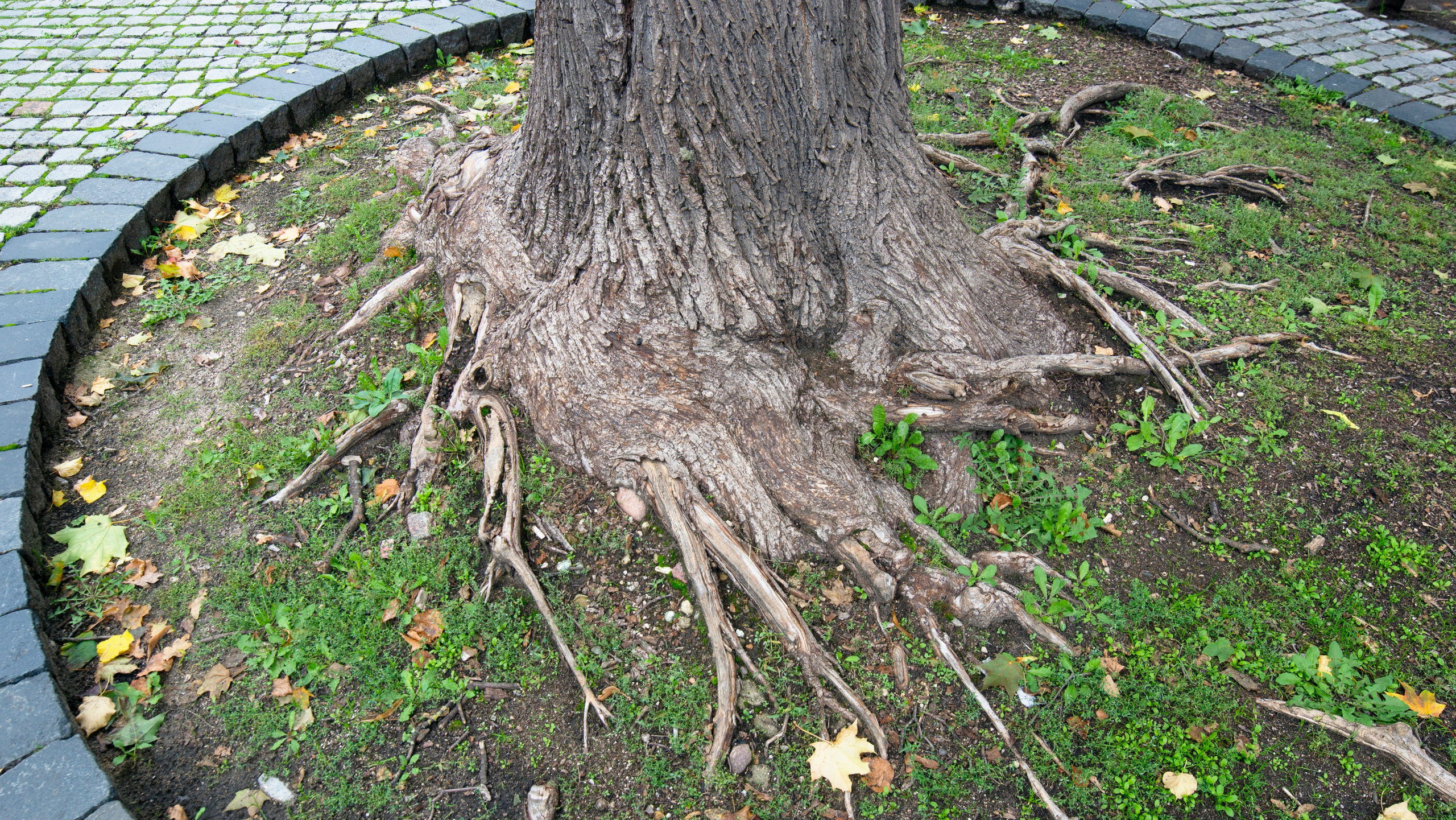 Вильнюс. Фотограф-путешественник Самойлов Максим «Sly Fox»