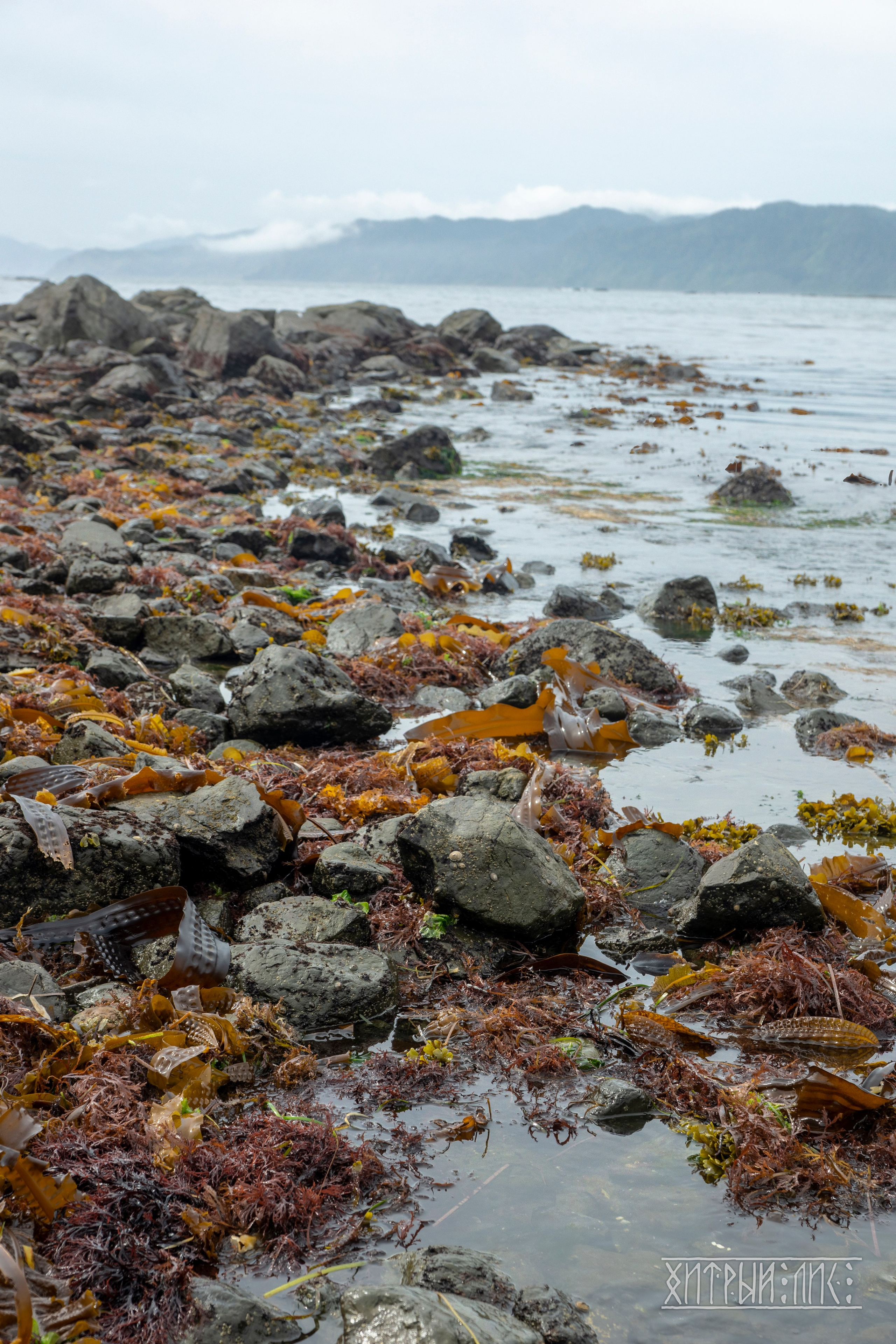 Сахалин. Фотограф-путешественник Самойлов Максим «Sly Fox»