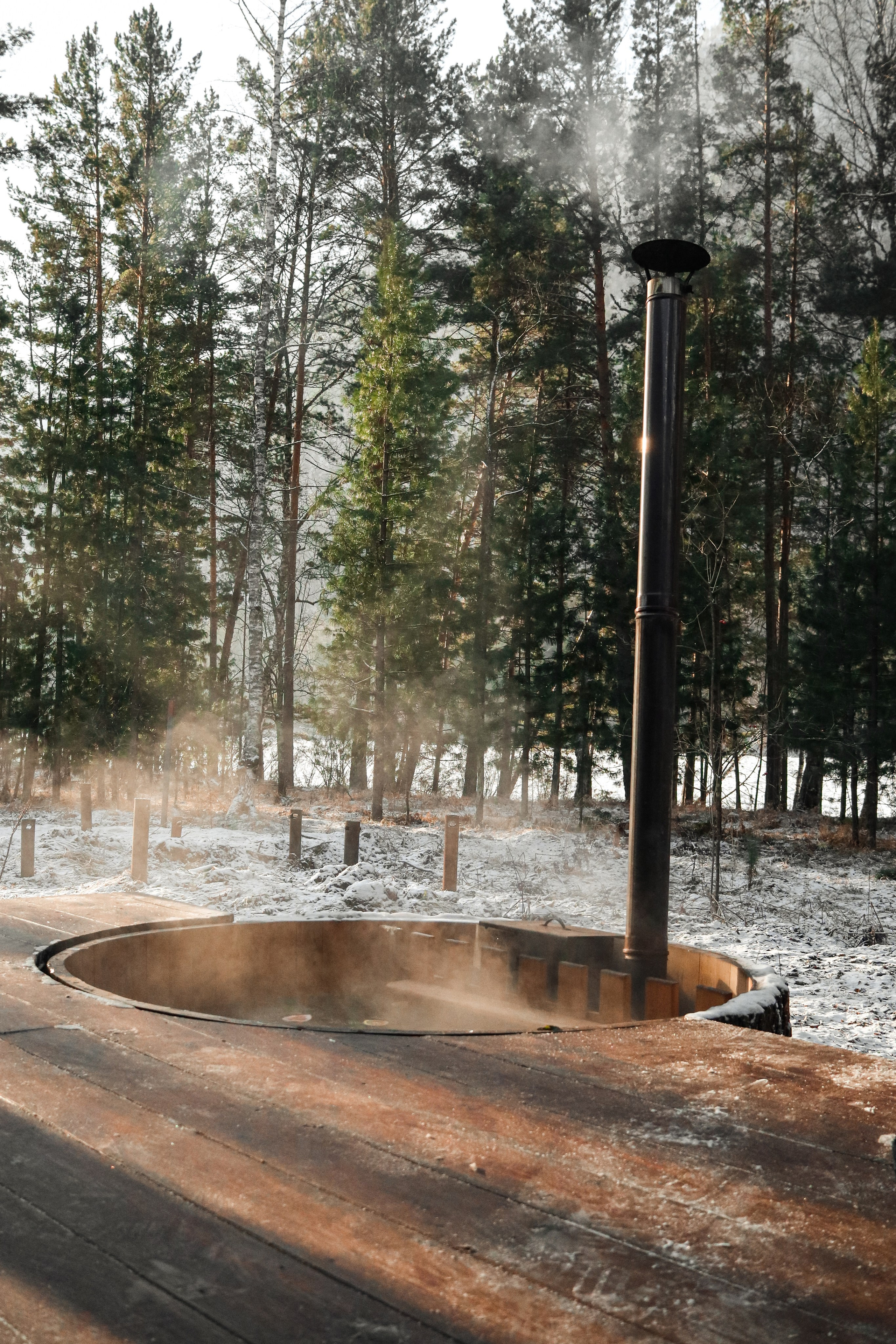 «Pinewood» банный комплекс, респ. Алтай. Контент фотограф Дмитрий Борисов