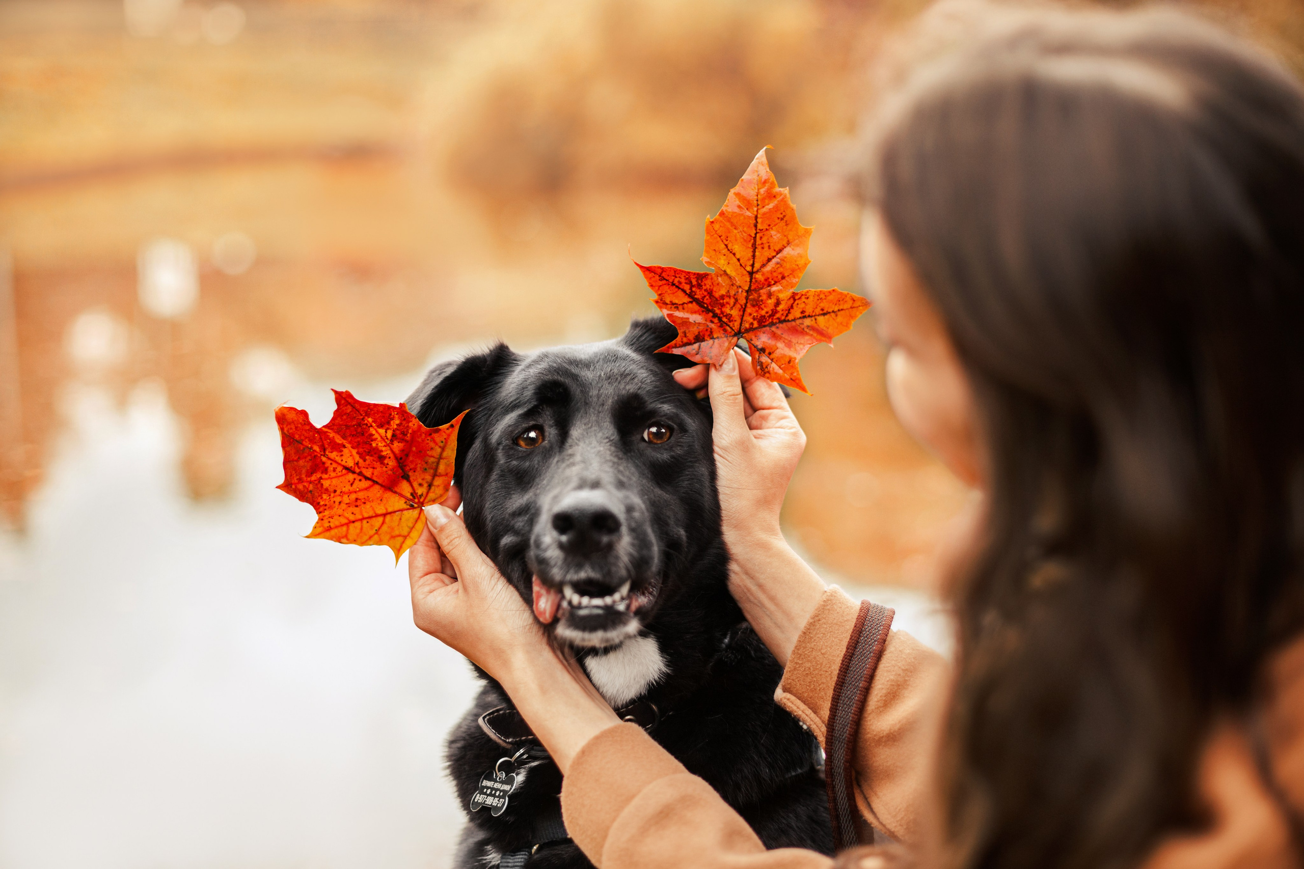 Юля и Фортуна. Фотограф-анималист Татьяна Степанова