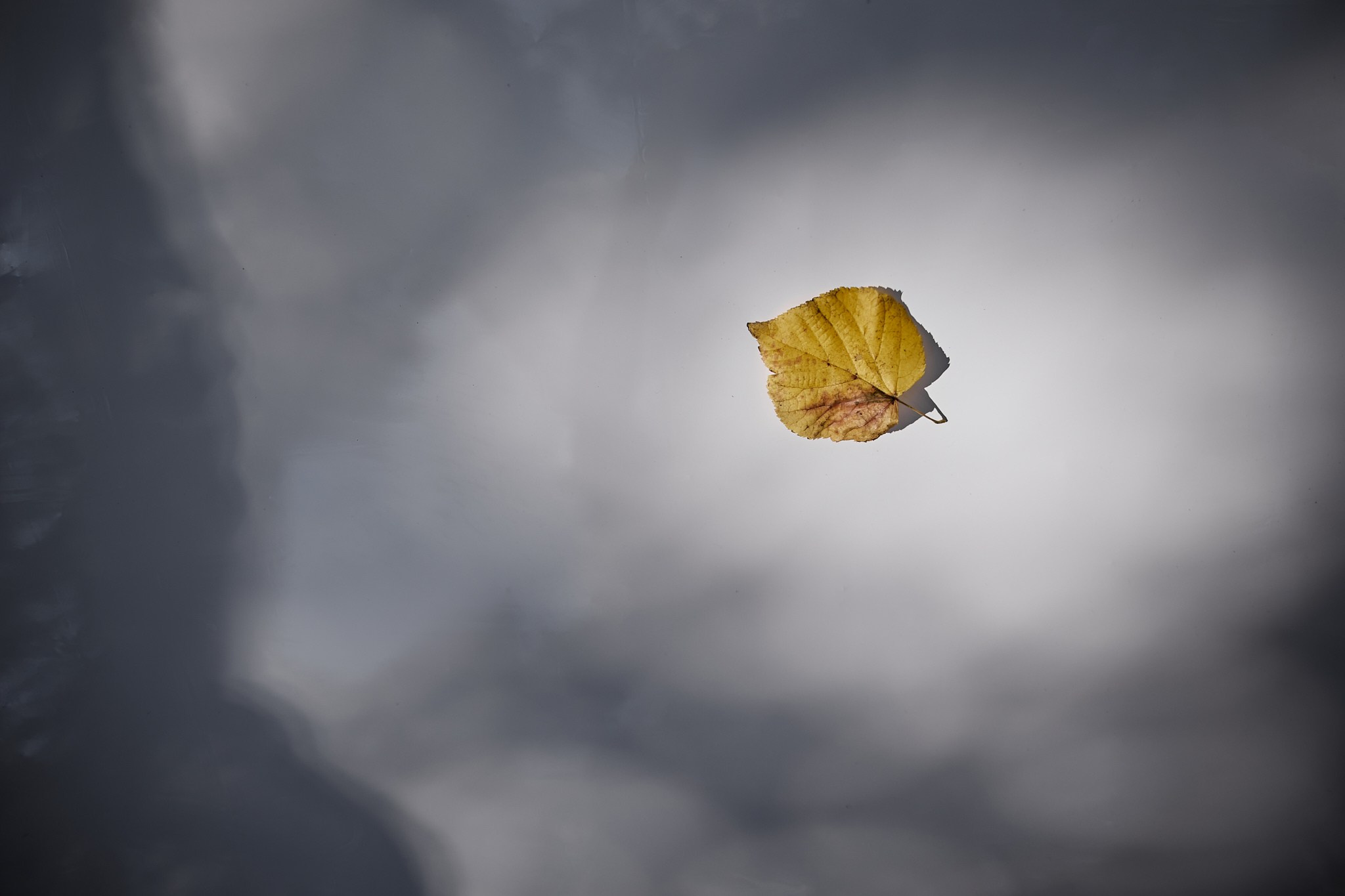Галерея студии НикитинаДекор — вдохновляющие идеи для вашего мероприятия. Студия декора НикитинаДекор — оформление мероприятий в Ульяновске. Профессиональное создание эксклюзивных декораций