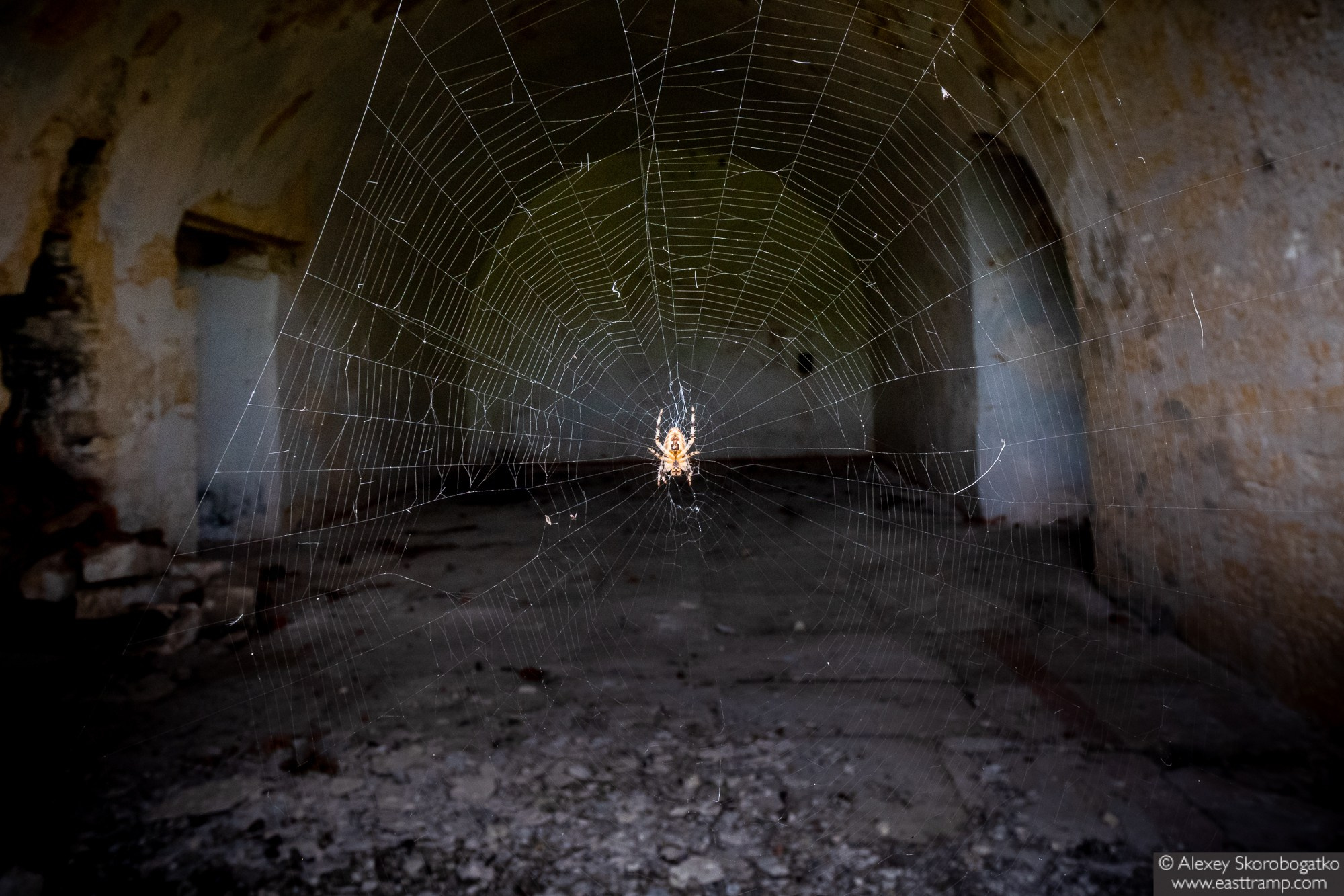 Археологические раскопки некрополя Кыз-Аул в Крыму. Фотограф Алексей Скоробогатько