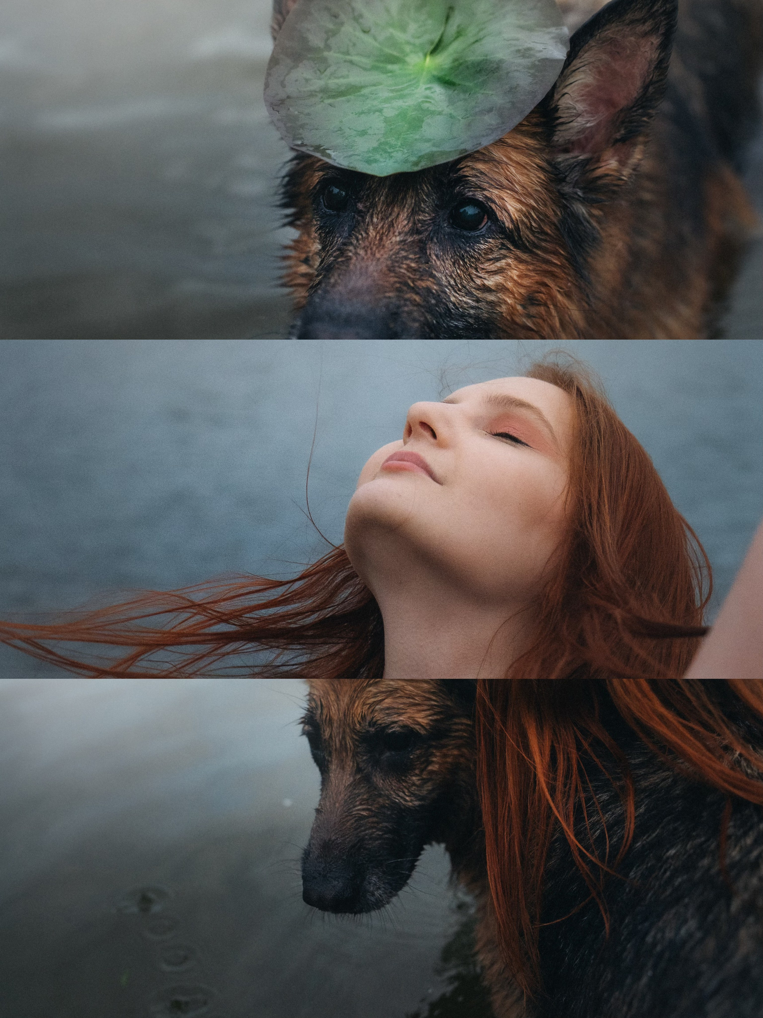 Вика и Фрея. Фотограф анималист в Москве и Санкт-Петербурге Свиридова Анна