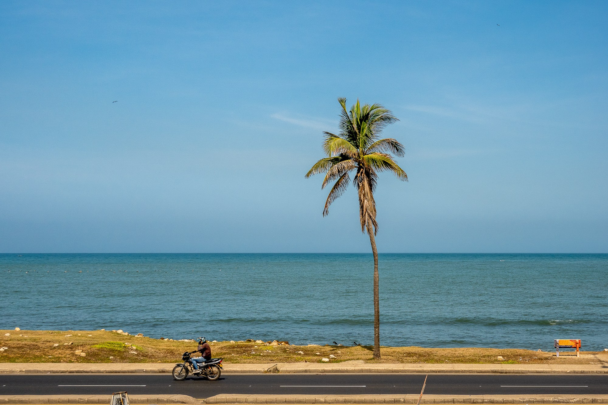 Алексей Скоробогатько, фотограф  г. Картахена, Колумбия. Alexey Skorobogatko, photographer, Cartagena, Colombia. Фотограф Алексей Скоробогатько