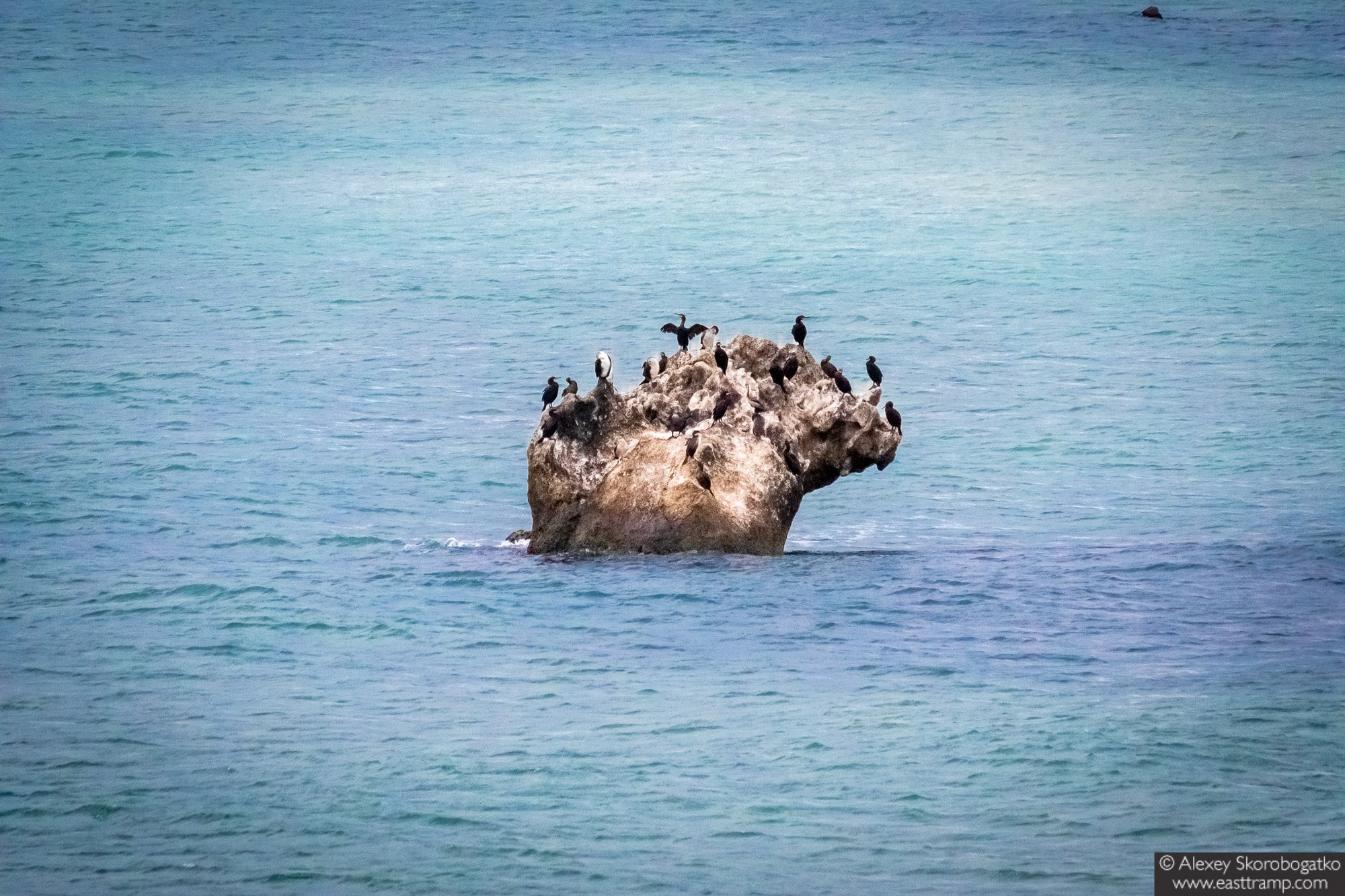 Археологические раскопки некрополя Кыз-Аул в Крыму. Фотограф Алексей Скоробогатько