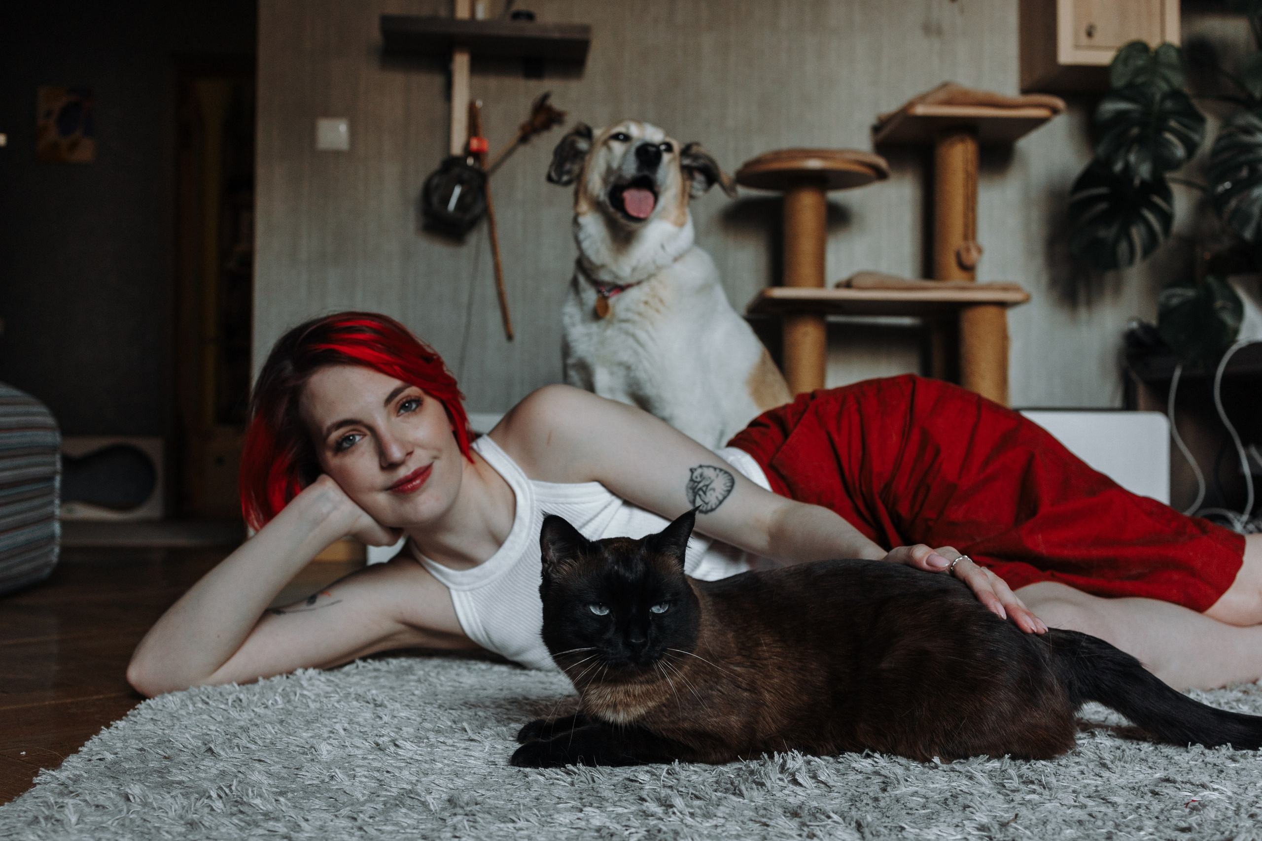 Саша и ее хвосты. Фотограф — Анималист | Санкт-Петербург