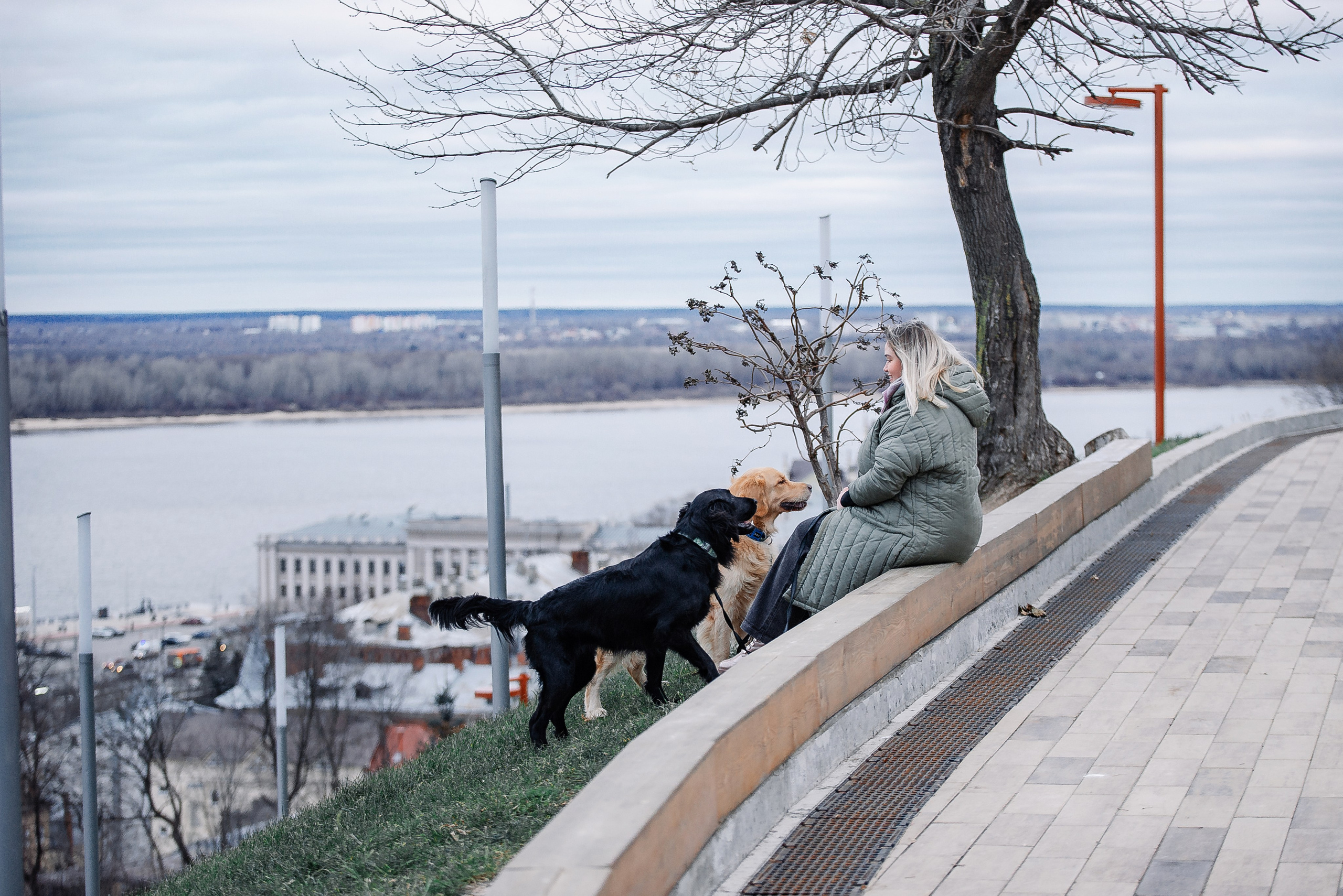 Юля, Стёпа и Мята. Фотограф-анималист Анастасия Парфенова|Екатеринбург