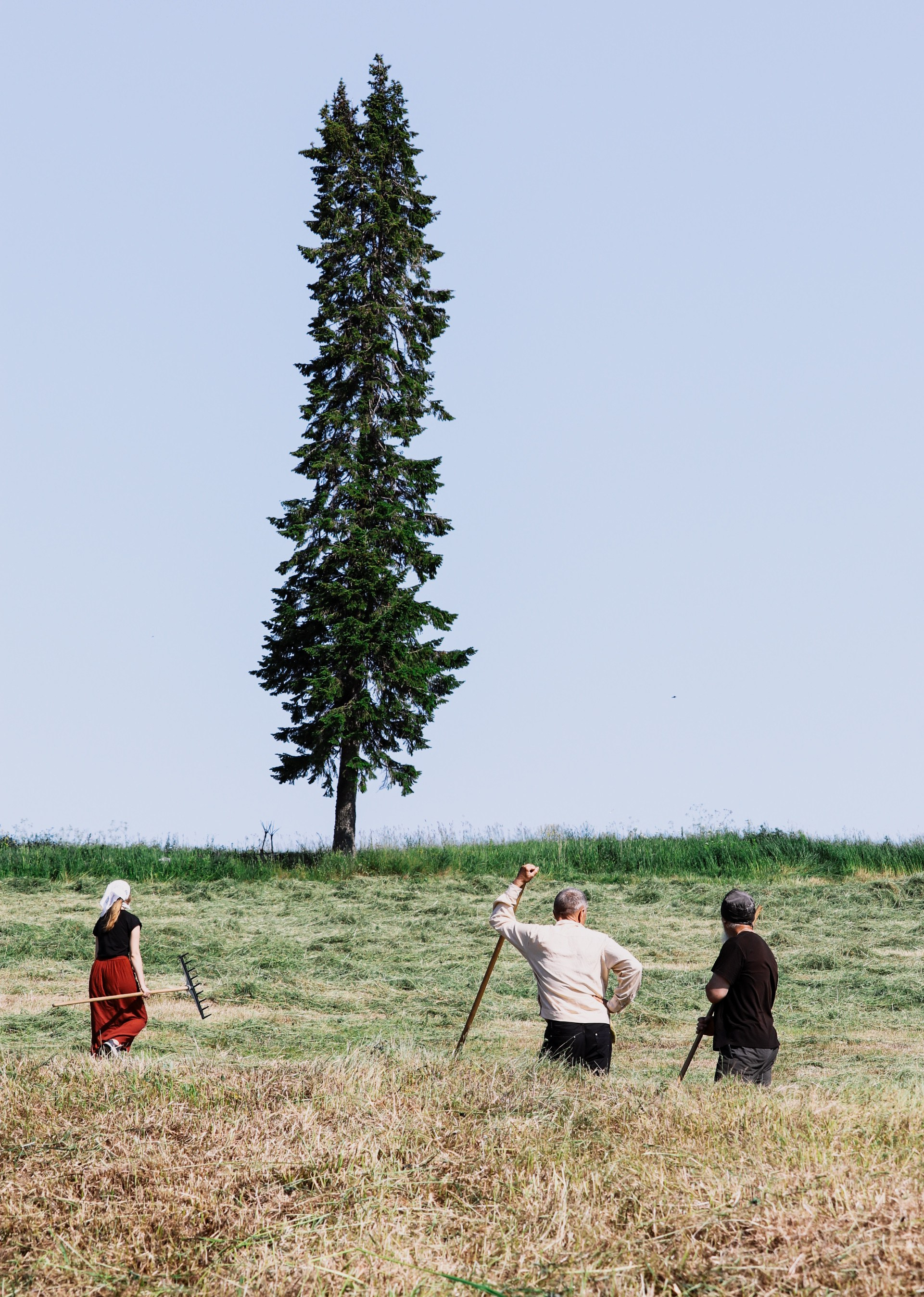 Природа. Трандин Иван Фотограф СПб
