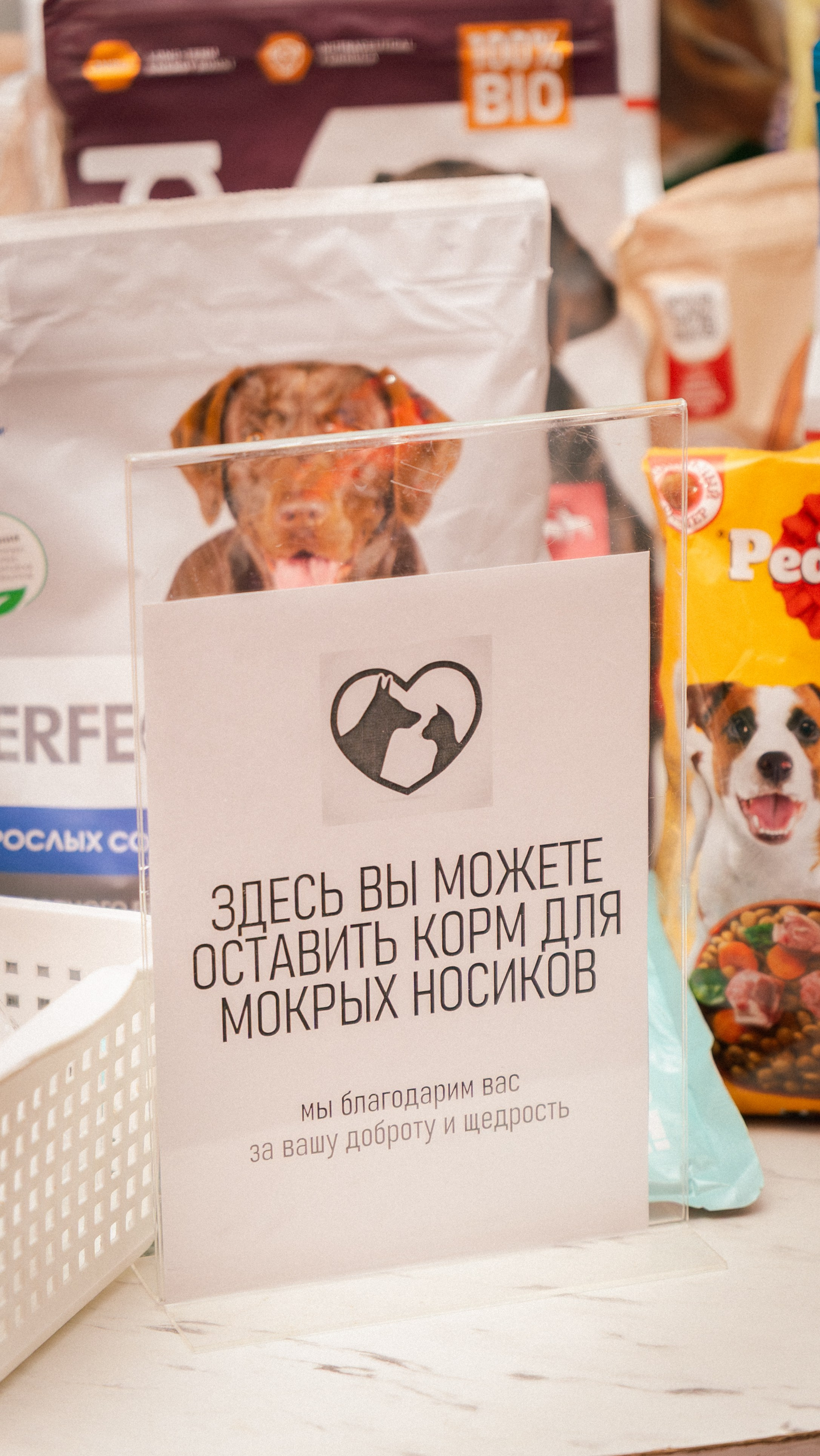 Денис и Галина. Фотограф и видеограф Андрей Кукишев