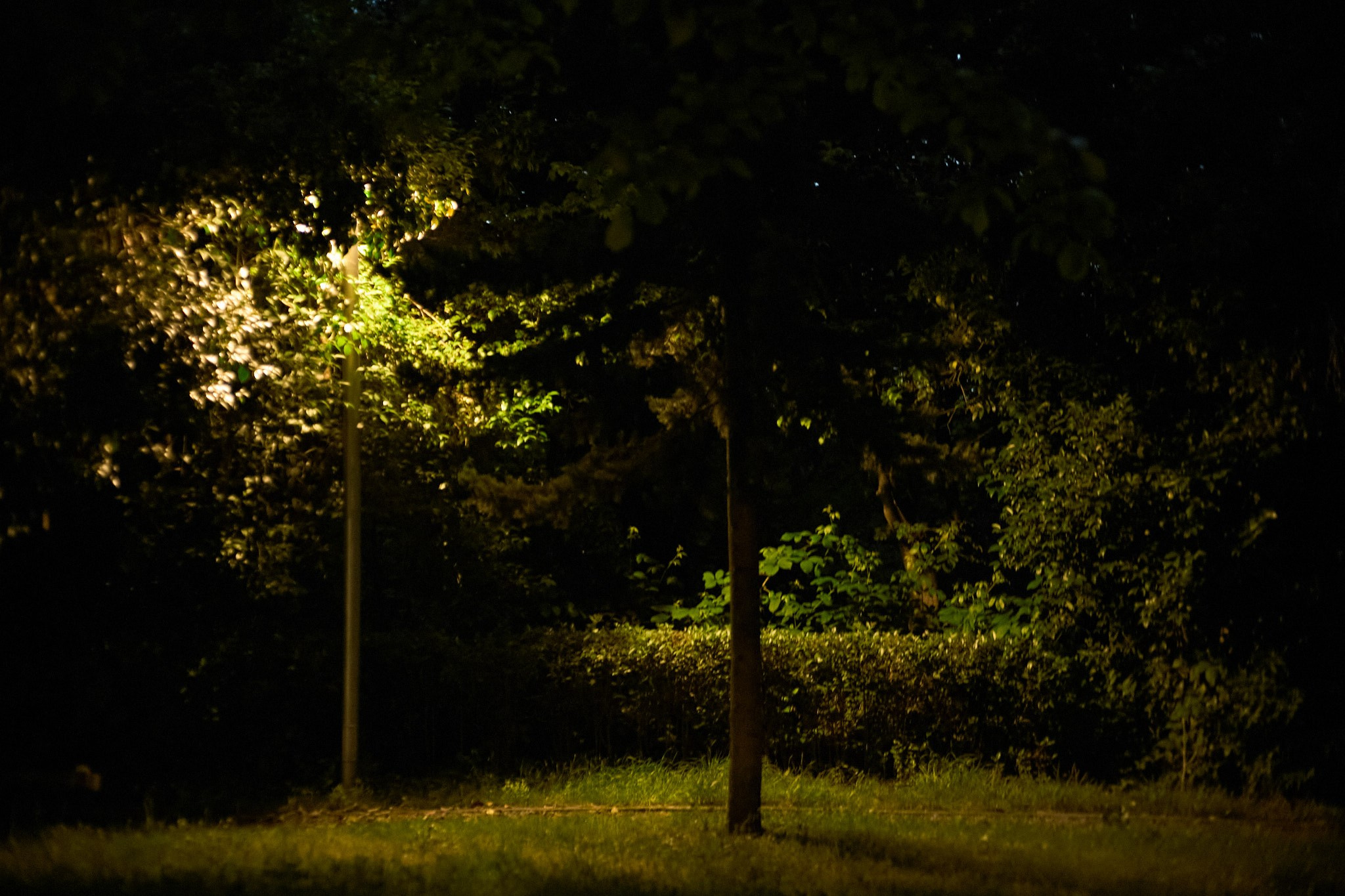 Баку, май 2025. Фотограф, Римма Невинская