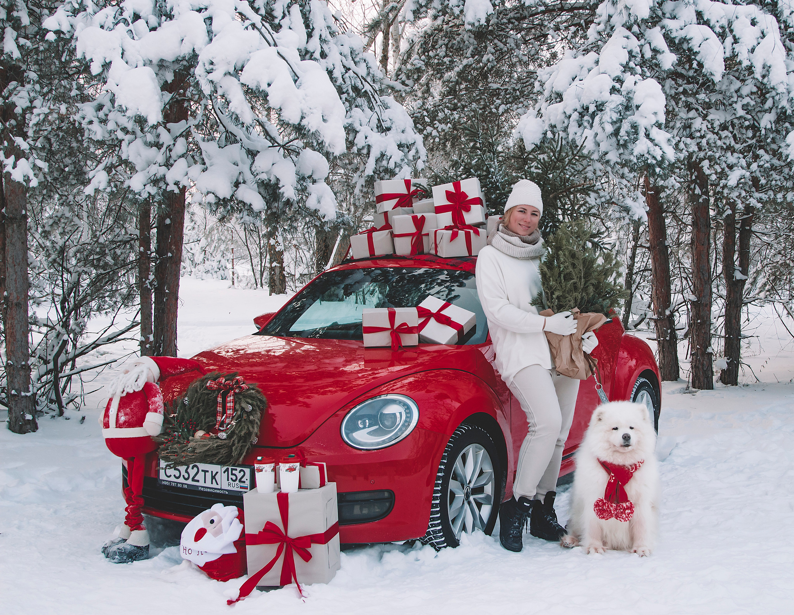 Новогодний красный жук. Фотограф Ольга Бобб Нижний Новгород