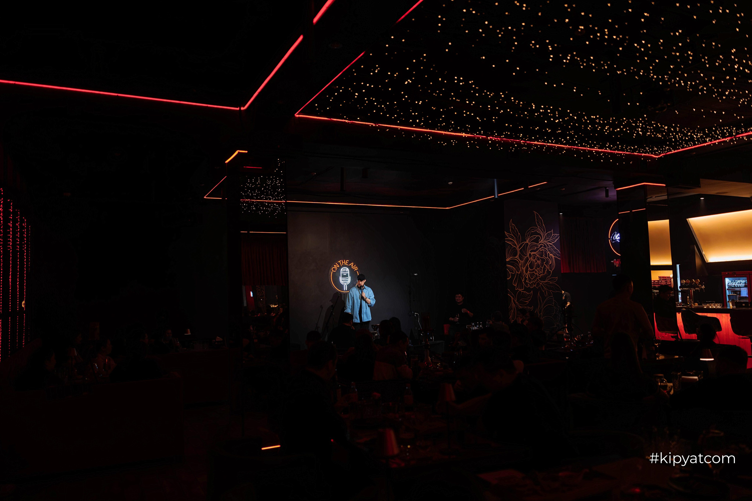 Сольный стендап концерт Александра Меркуль