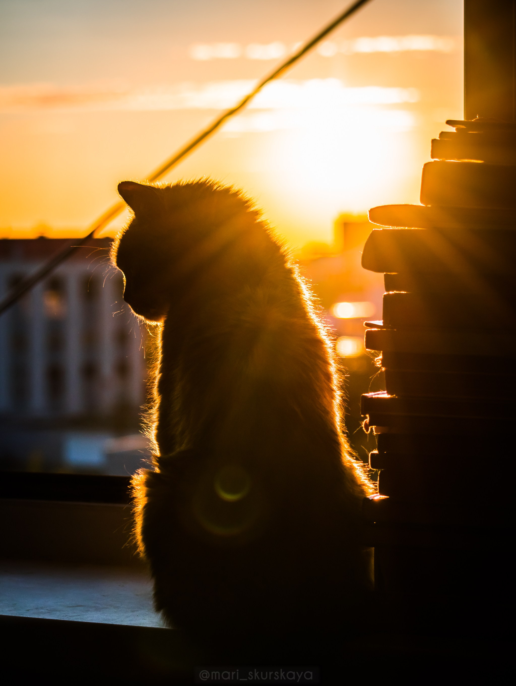 Закатный Санкт-Петербург. Мотофотограф в Санкт-Петербурге Мария Скурская