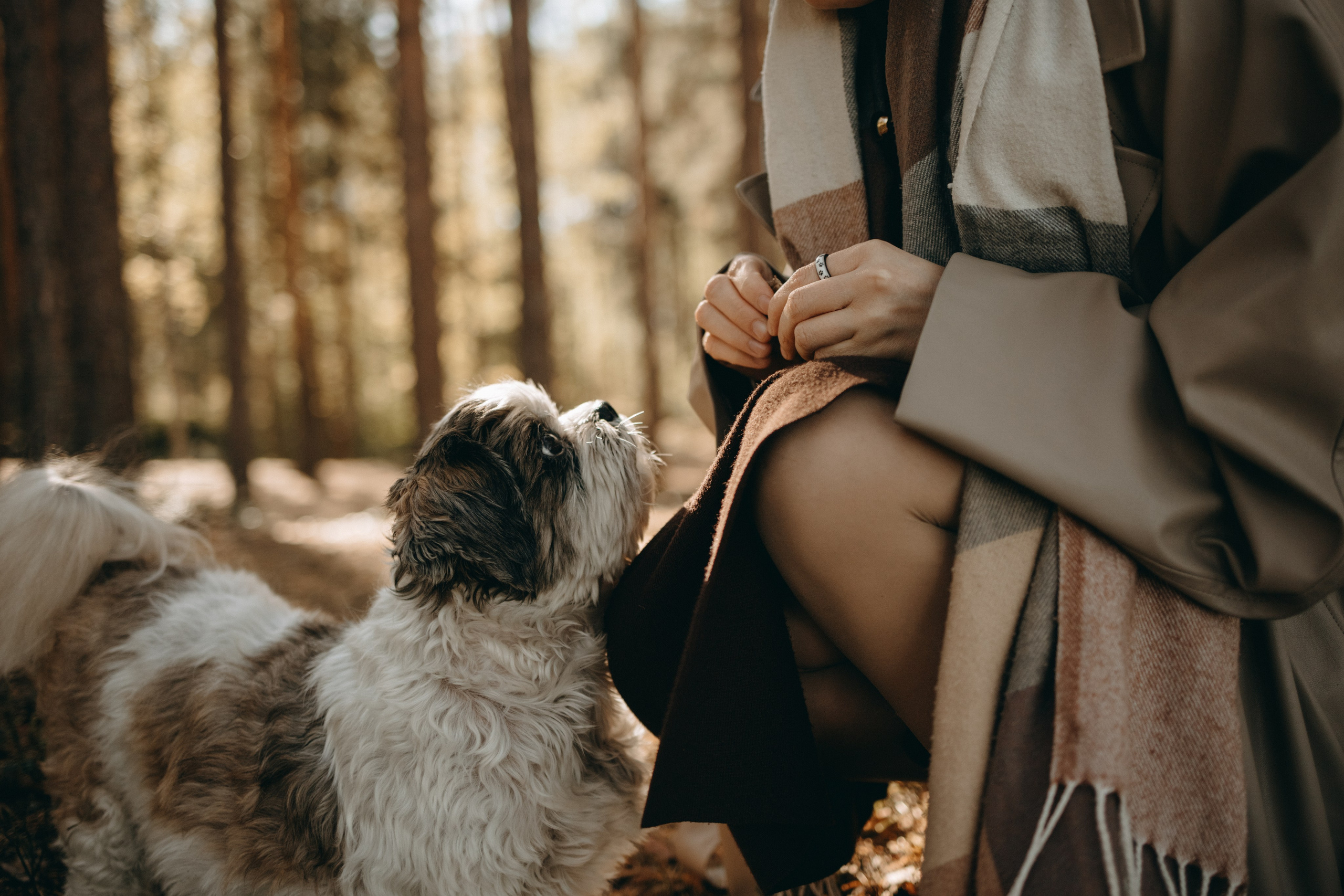 Настя и Франт. Фотограф — Анималист | Санкт-Петербург
