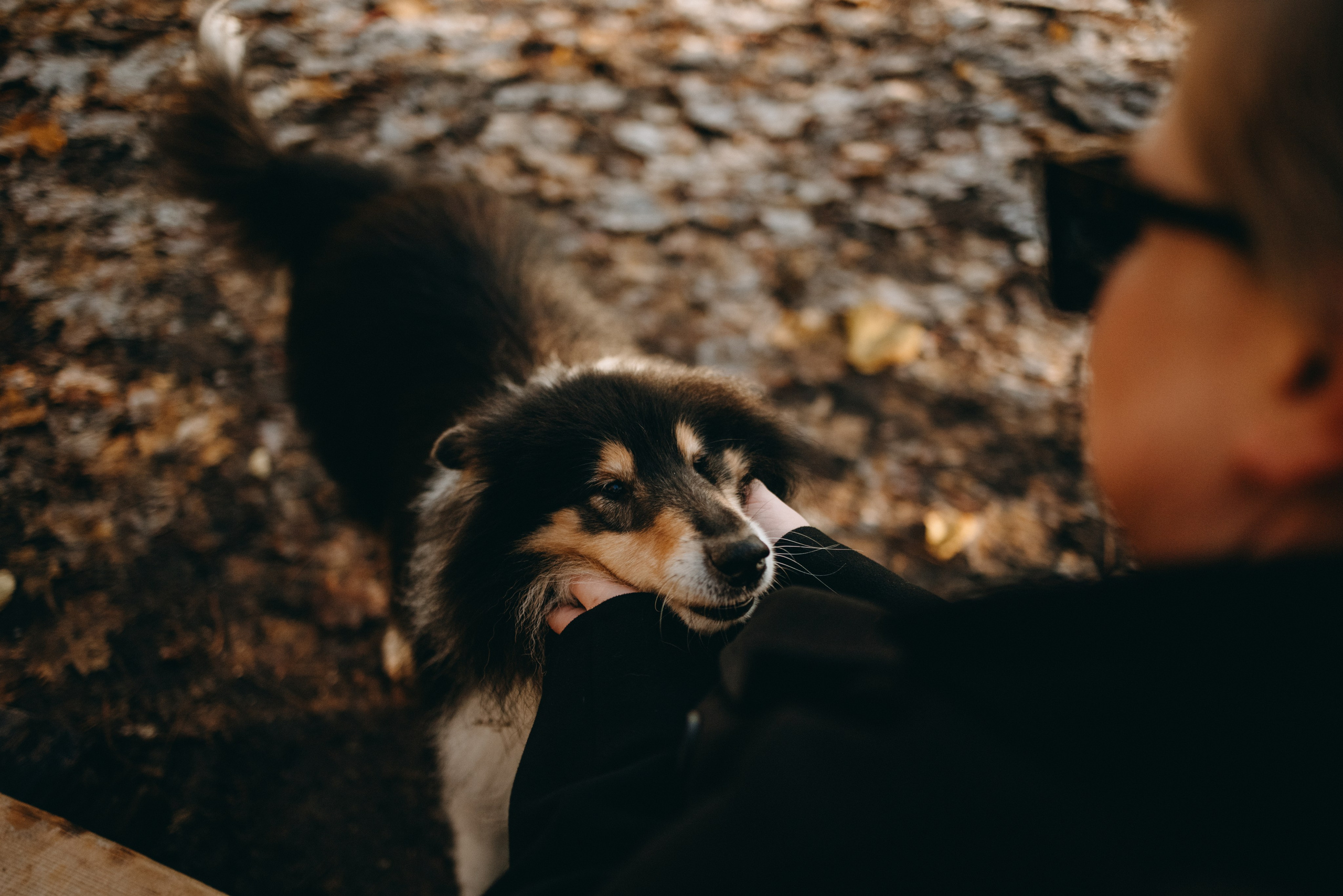 Ия и Барт. Фотограф — Анималист | Санкт-Петербург